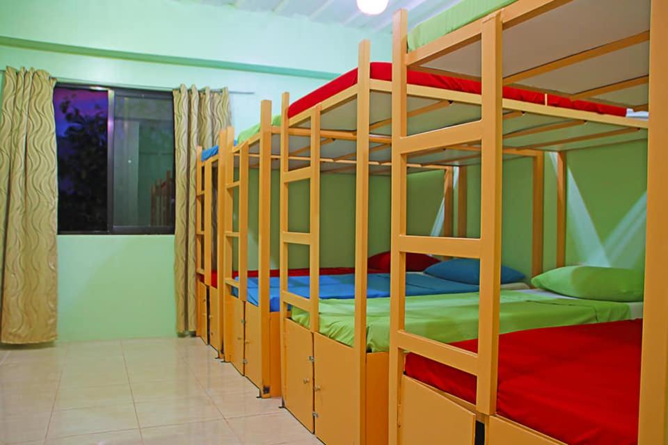 Bunk Bed in Mixed Dormitory Room photo 2