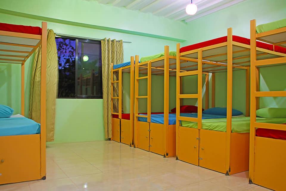 Bunk Bed in Mixed Dormitory Room photo 3
