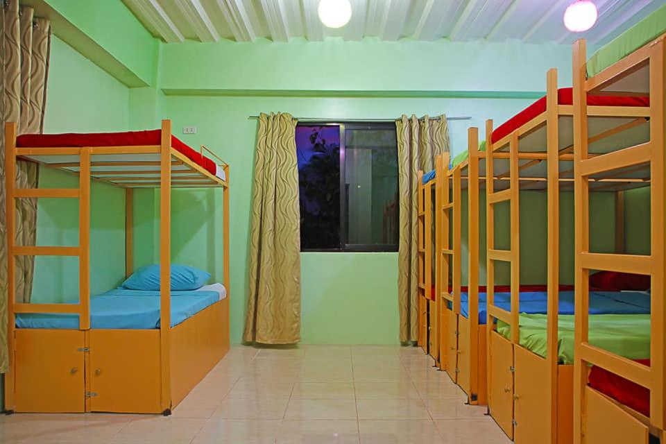 Bunk Bed in Mixed Dormitory Room photo 2