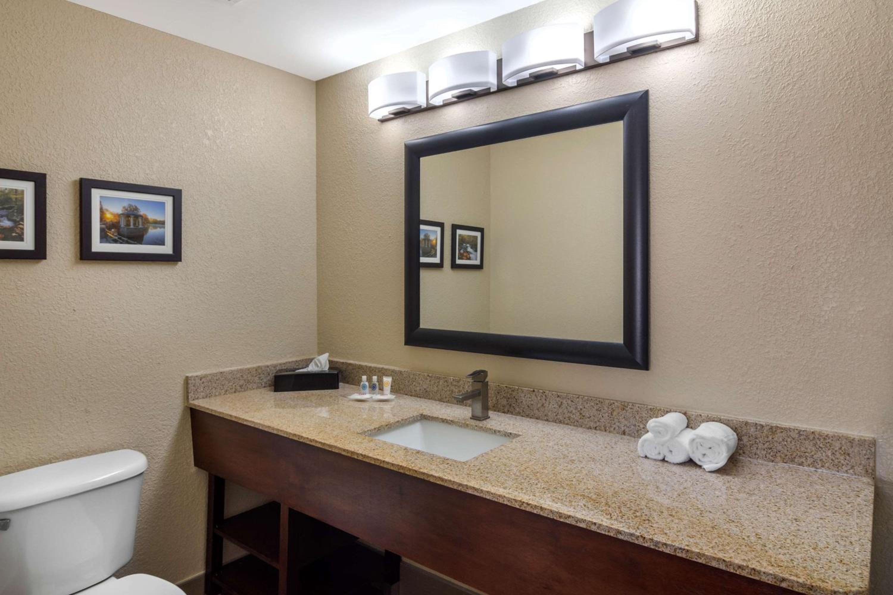 Executive King Suite - Non-Smoking - Photo 8