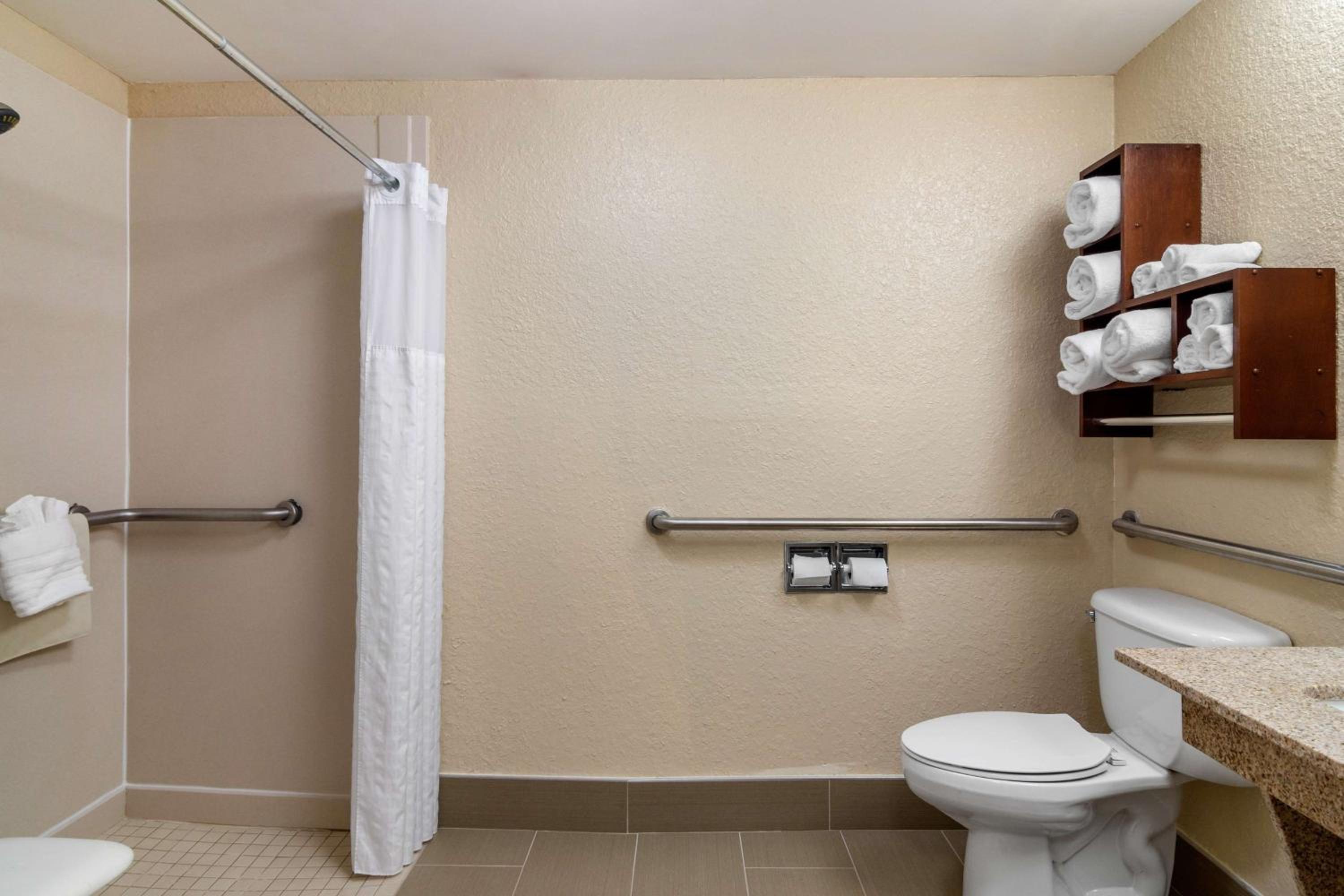 King Room with Roll-In Shower - Accessible/Non-Smoking photo 3