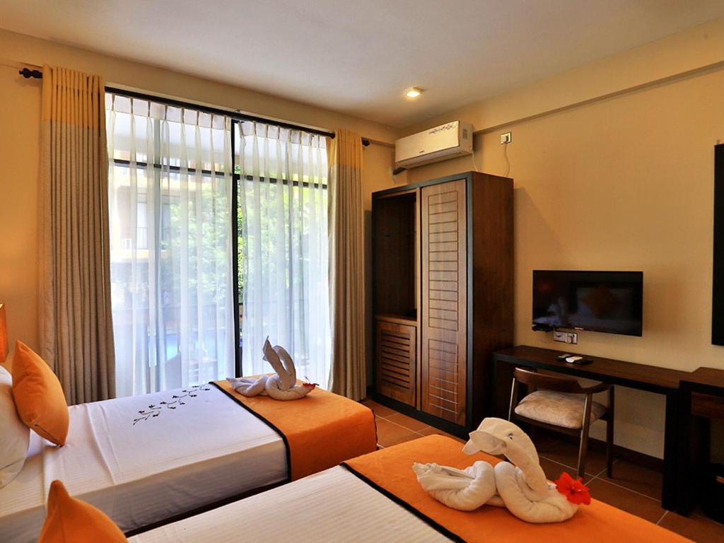 Deluxe Twin Room photo 1