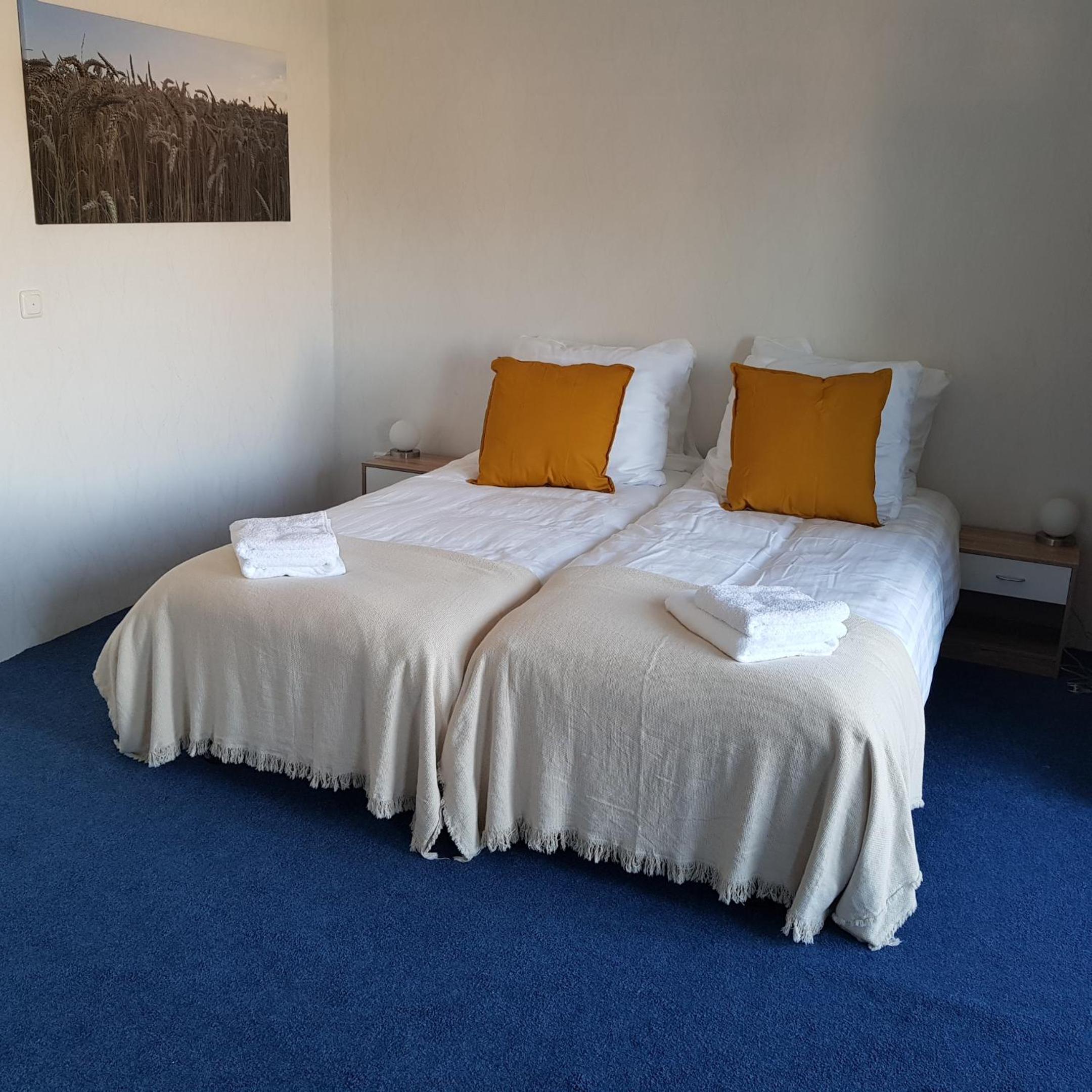 Deluxe Twin Room photo 1