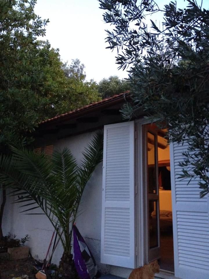 One-Bedroom House photo 1
