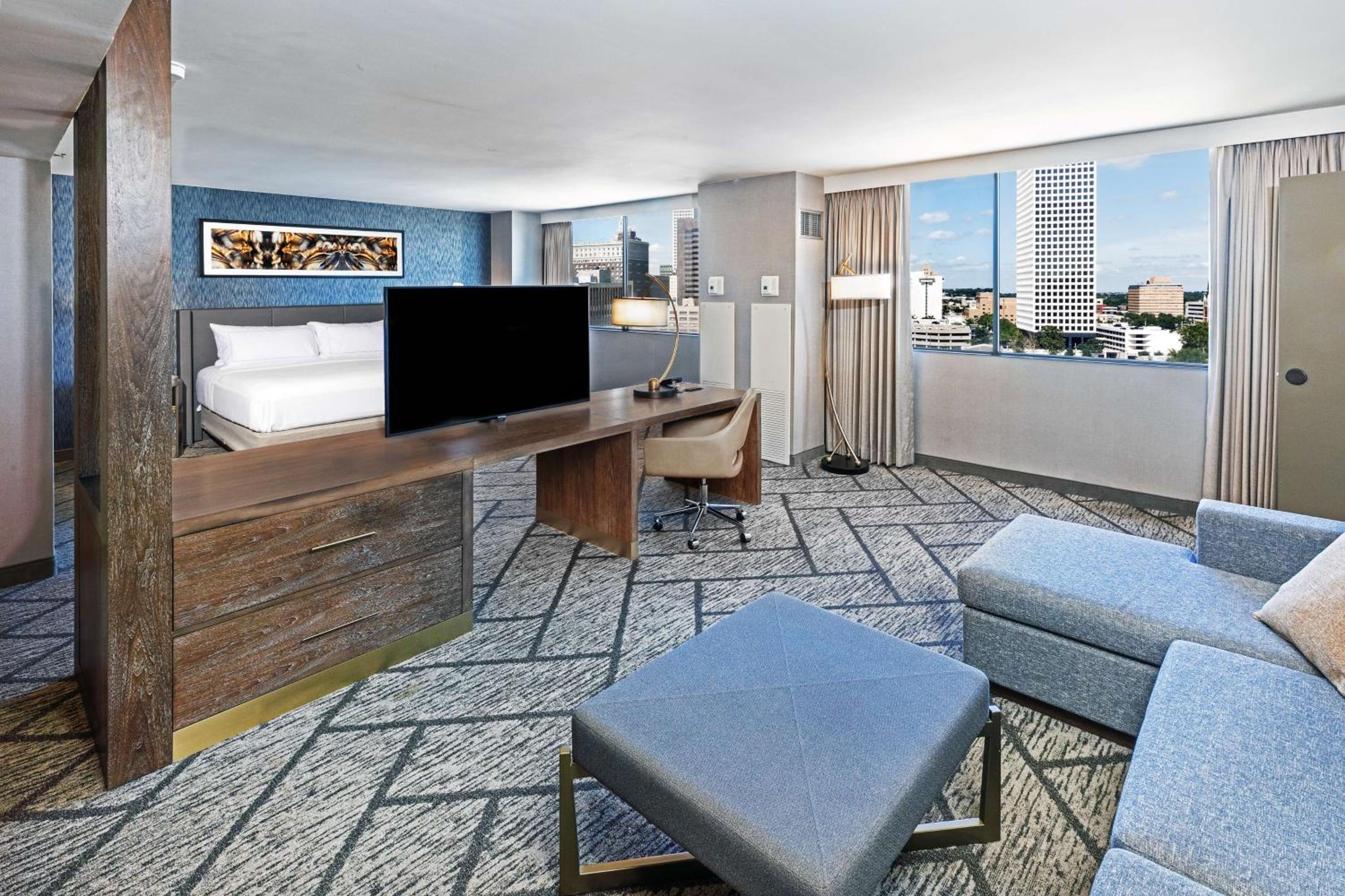 Deluxe King Suite, photo 6
