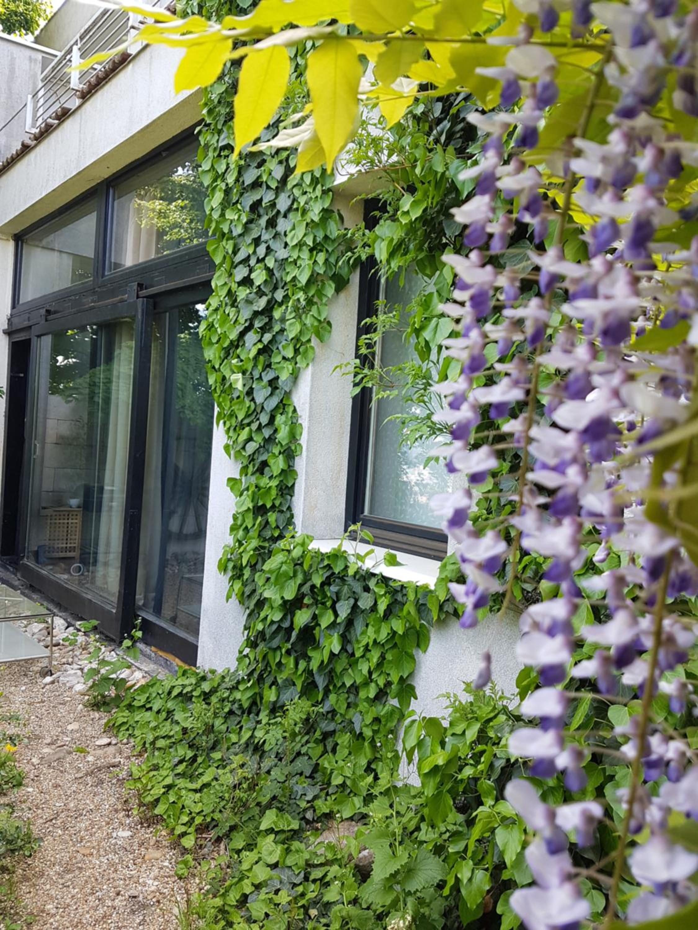 Apartment with Garden View - Photo 12