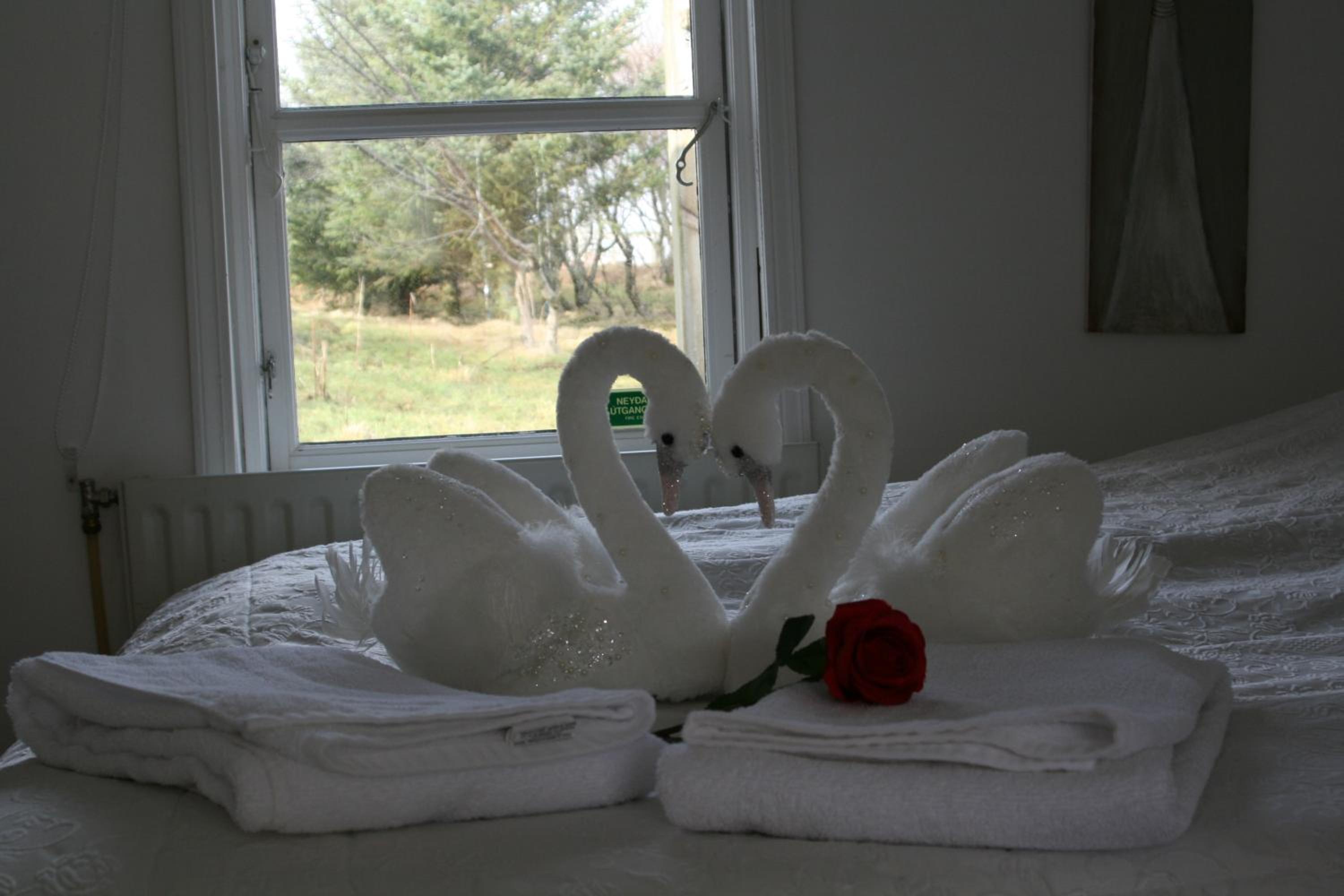 One-Bedroom House photo 2