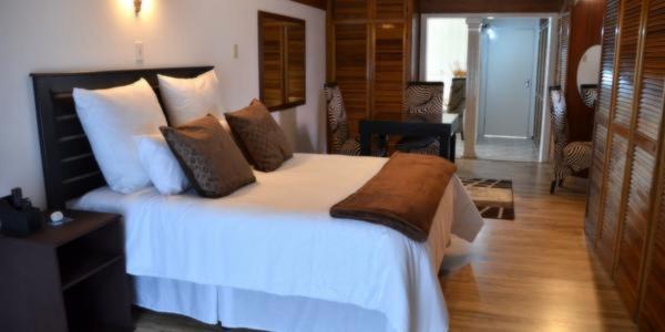 Luxury Suite - Photo 5
