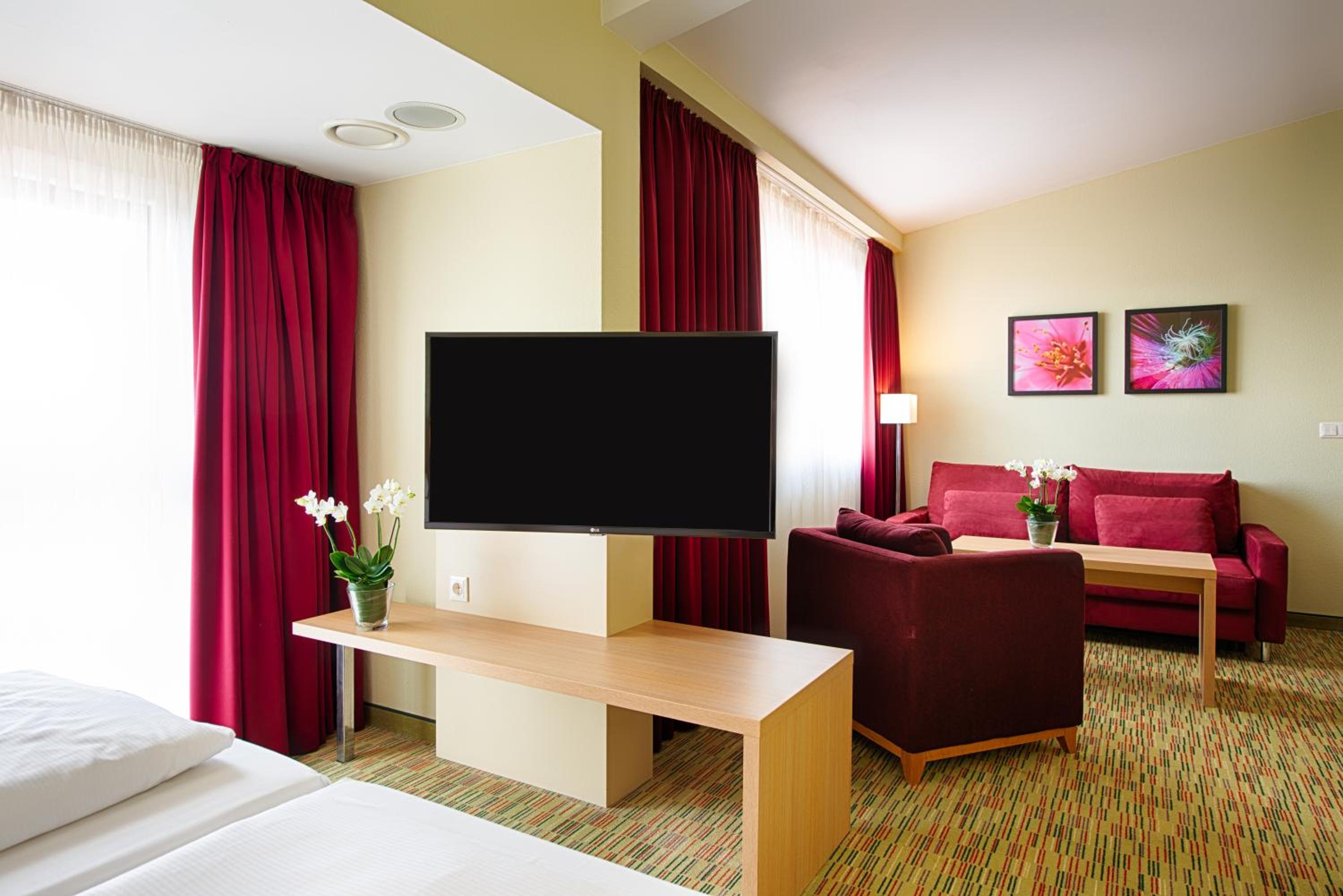 Suite - Photo 1