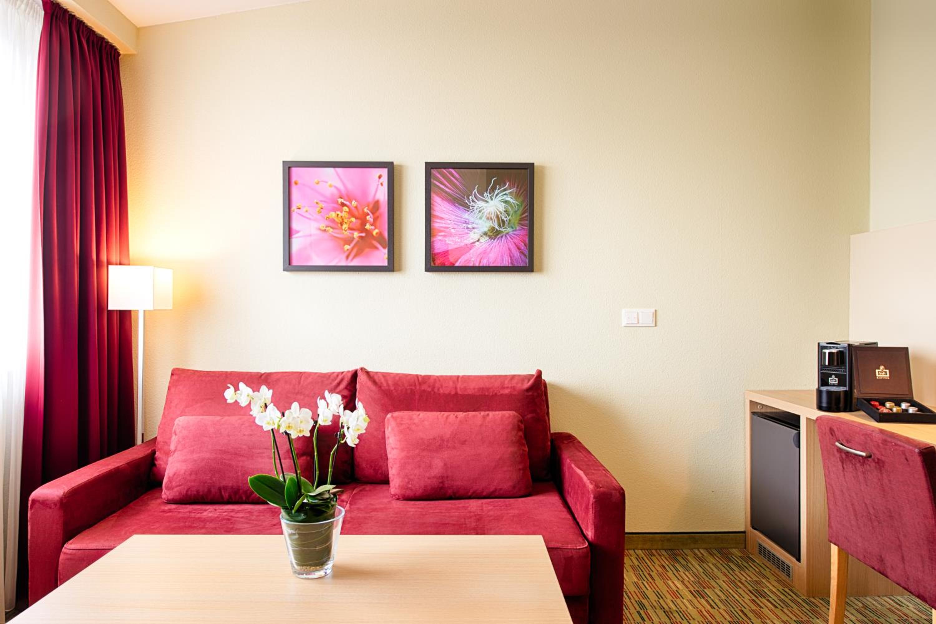 Suite - Photo 2