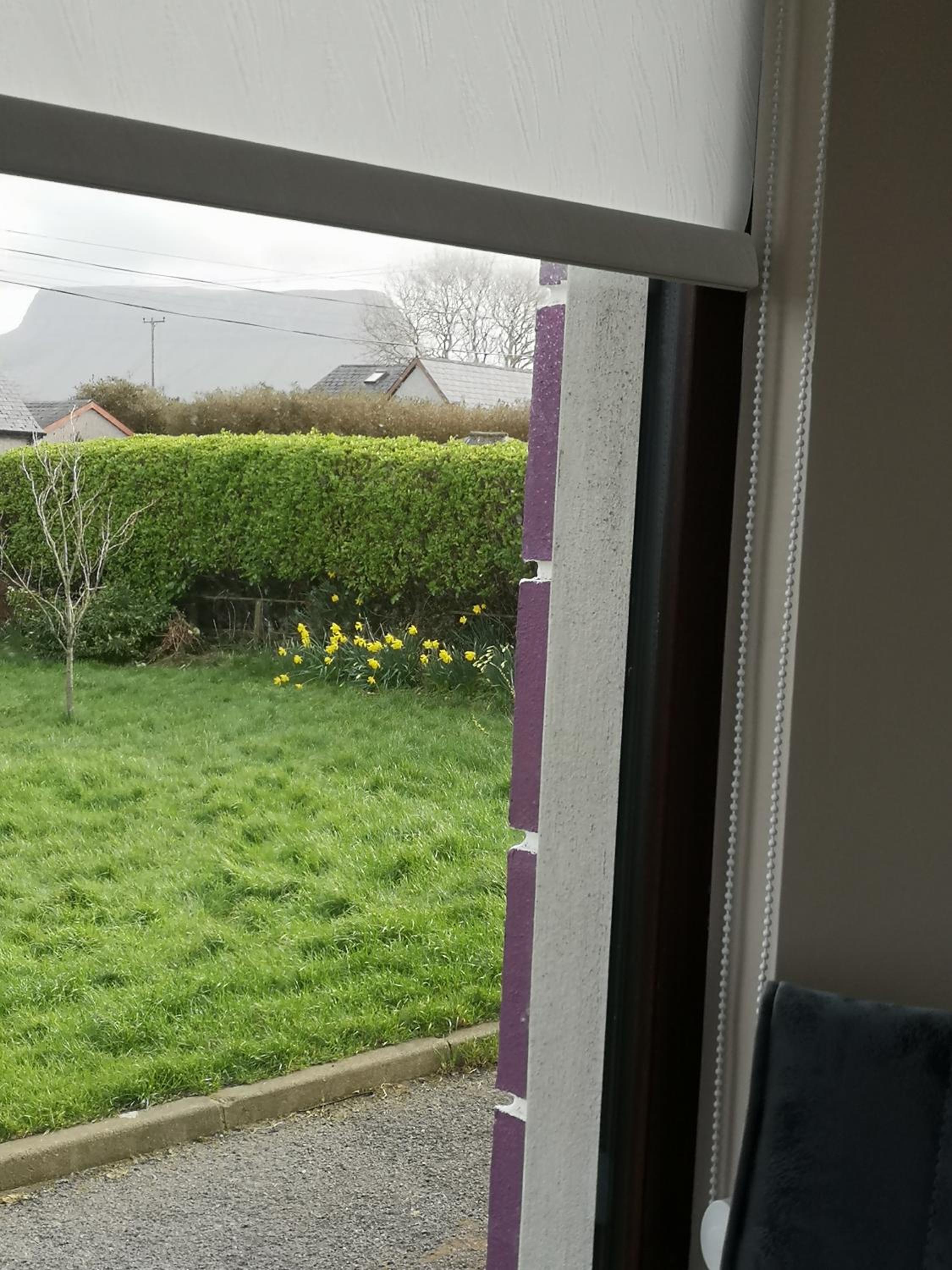 Deluxe Double Room with Mountain View photo 2
