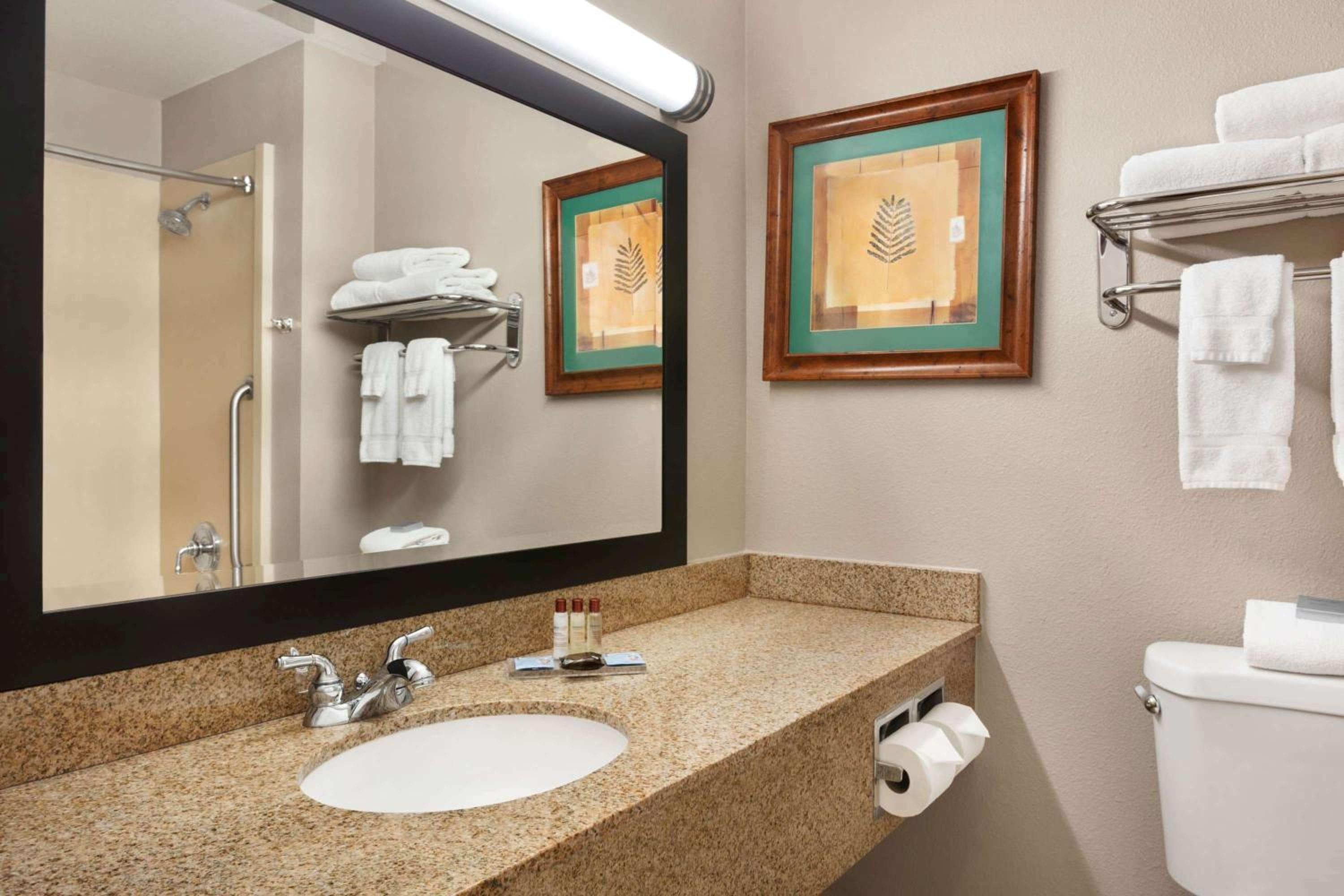 One-Bedroom King Suite - Non-Smoking - Photo 4
