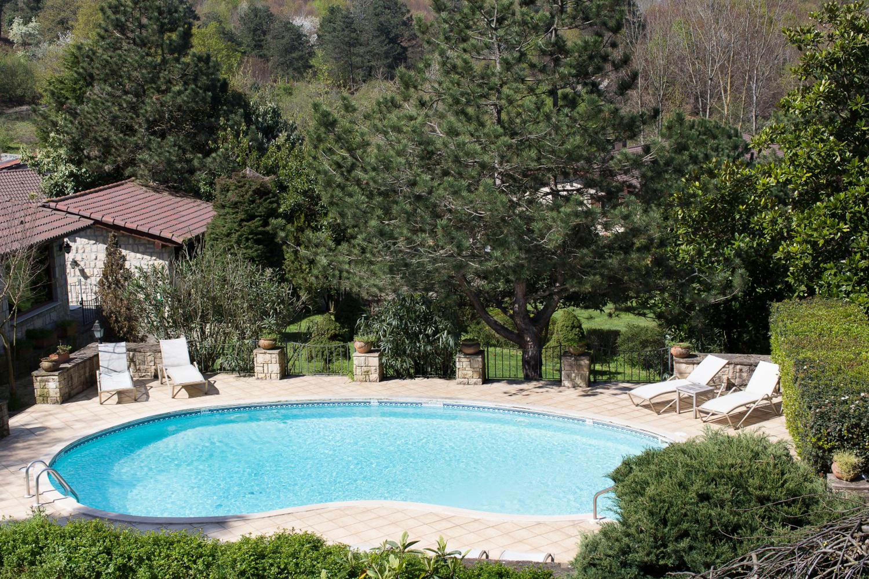 Superior Room with Pool & Forest View photo 2