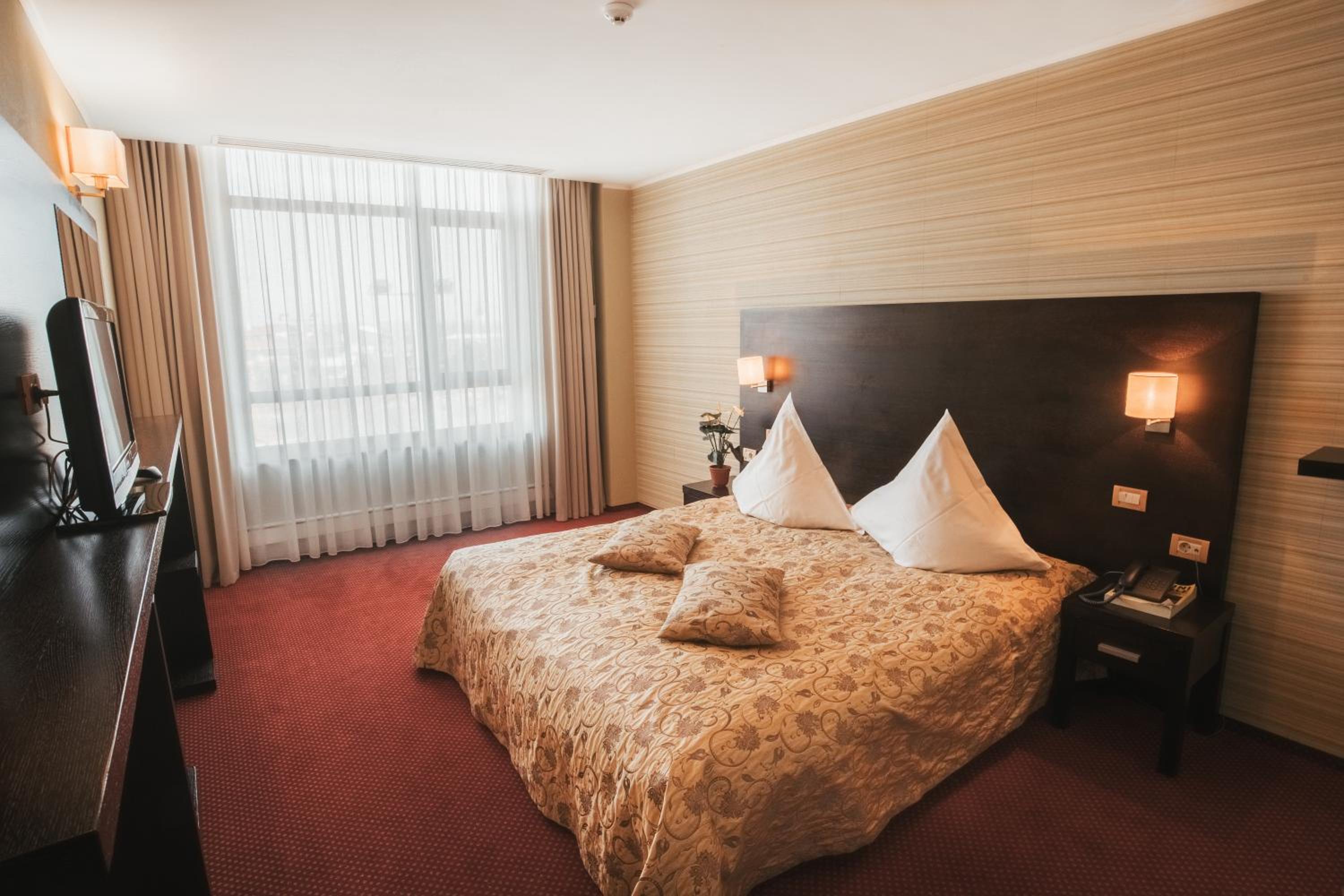 Suite - Photo 1