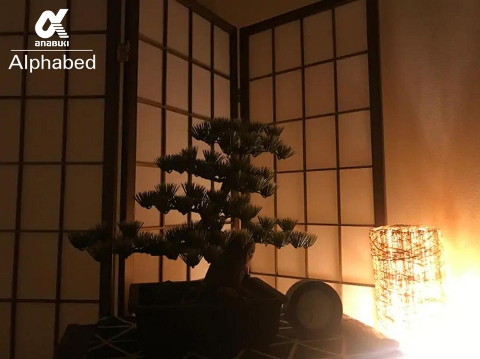Apartment - Photo 7