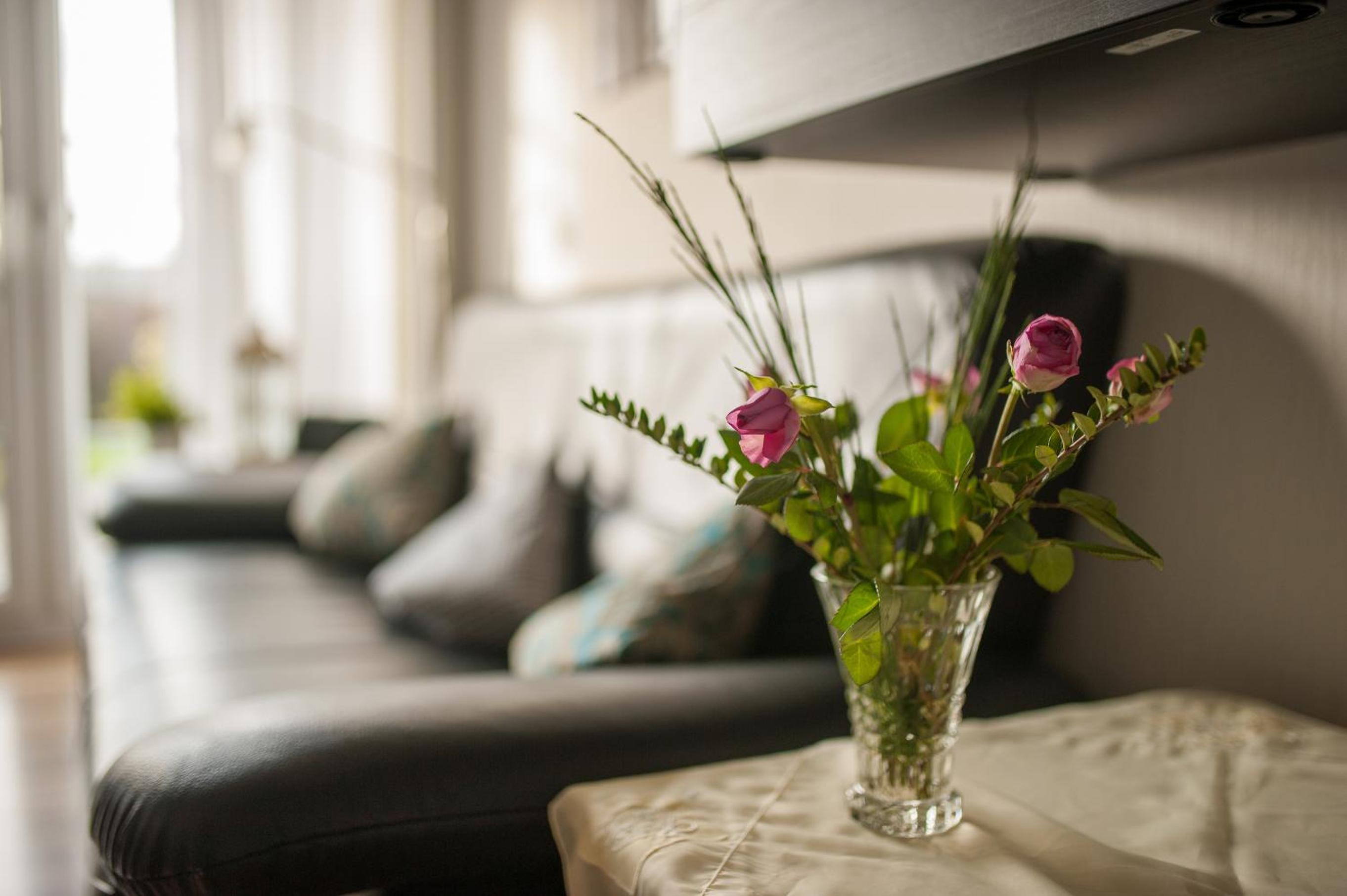 Apartment with Terrace photo 2