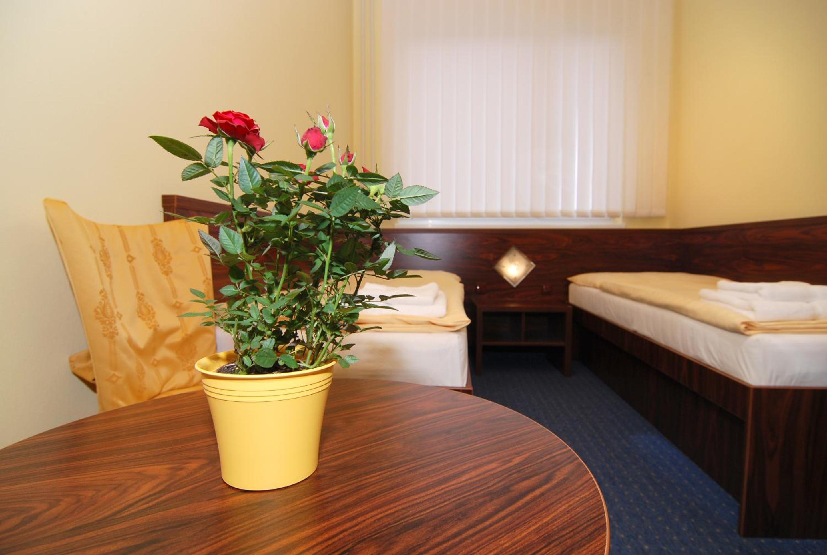 Triple Room photo 3