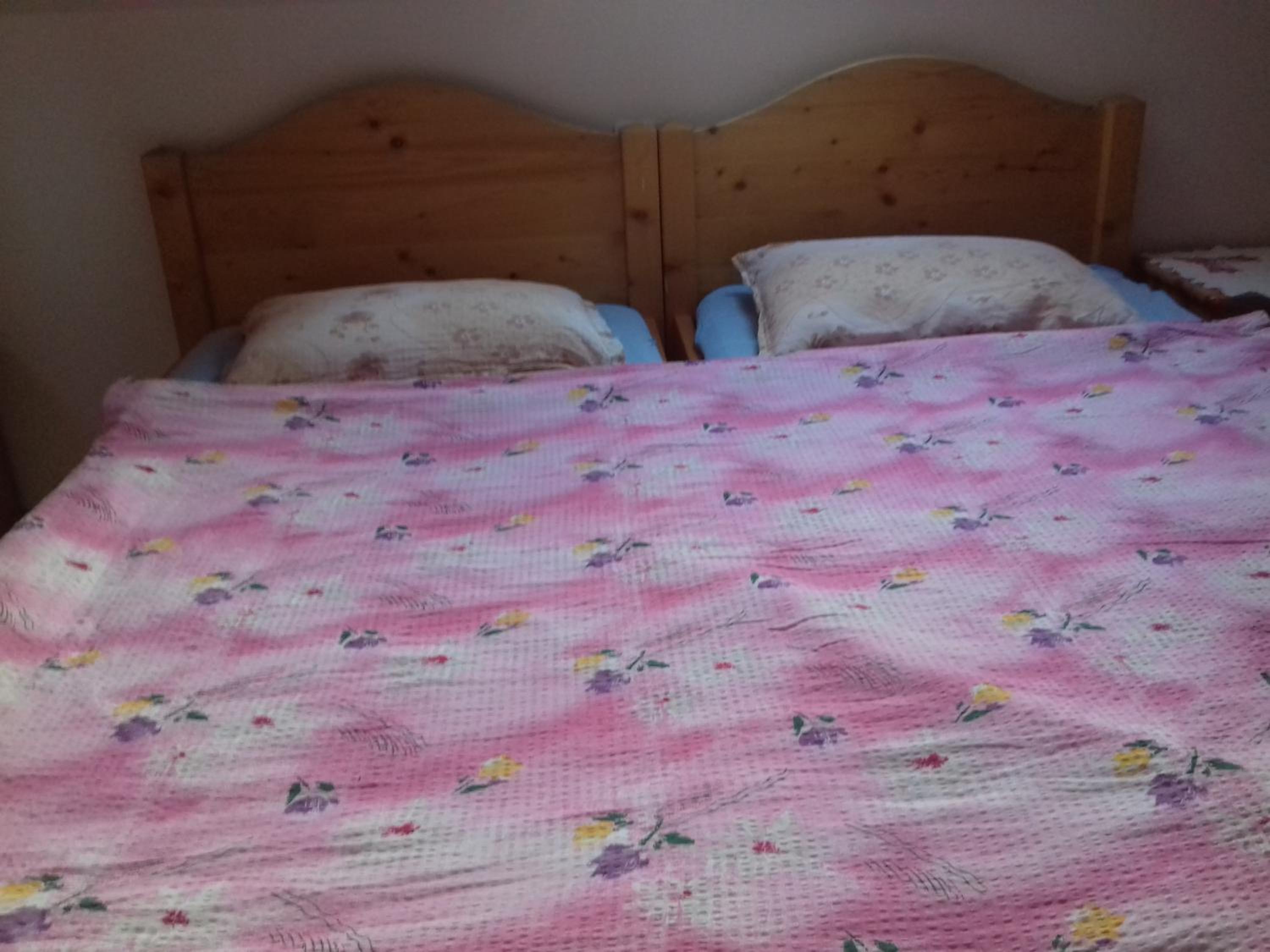 Double or Twin Room photo 3