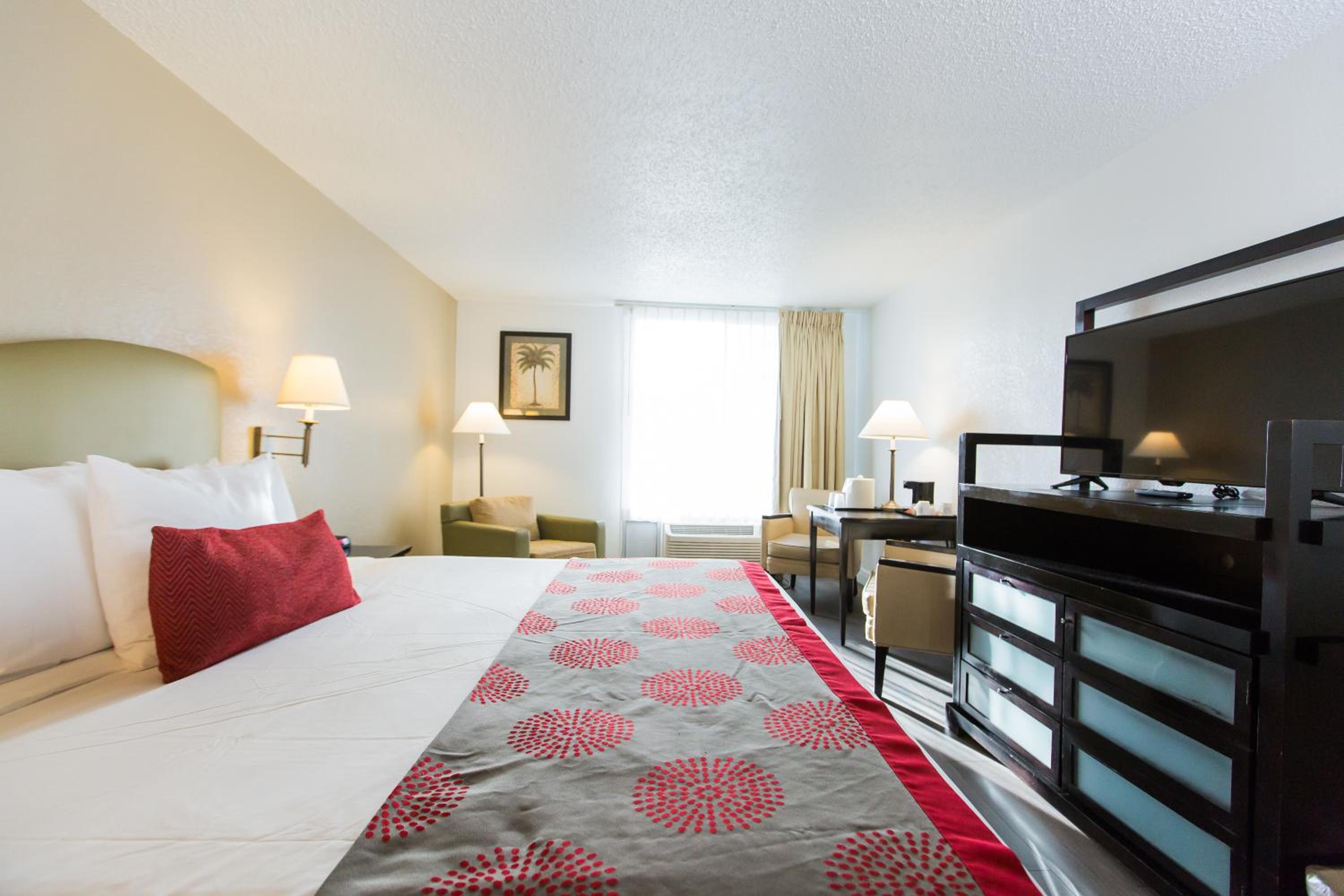 Comfort King Room - Photo 10