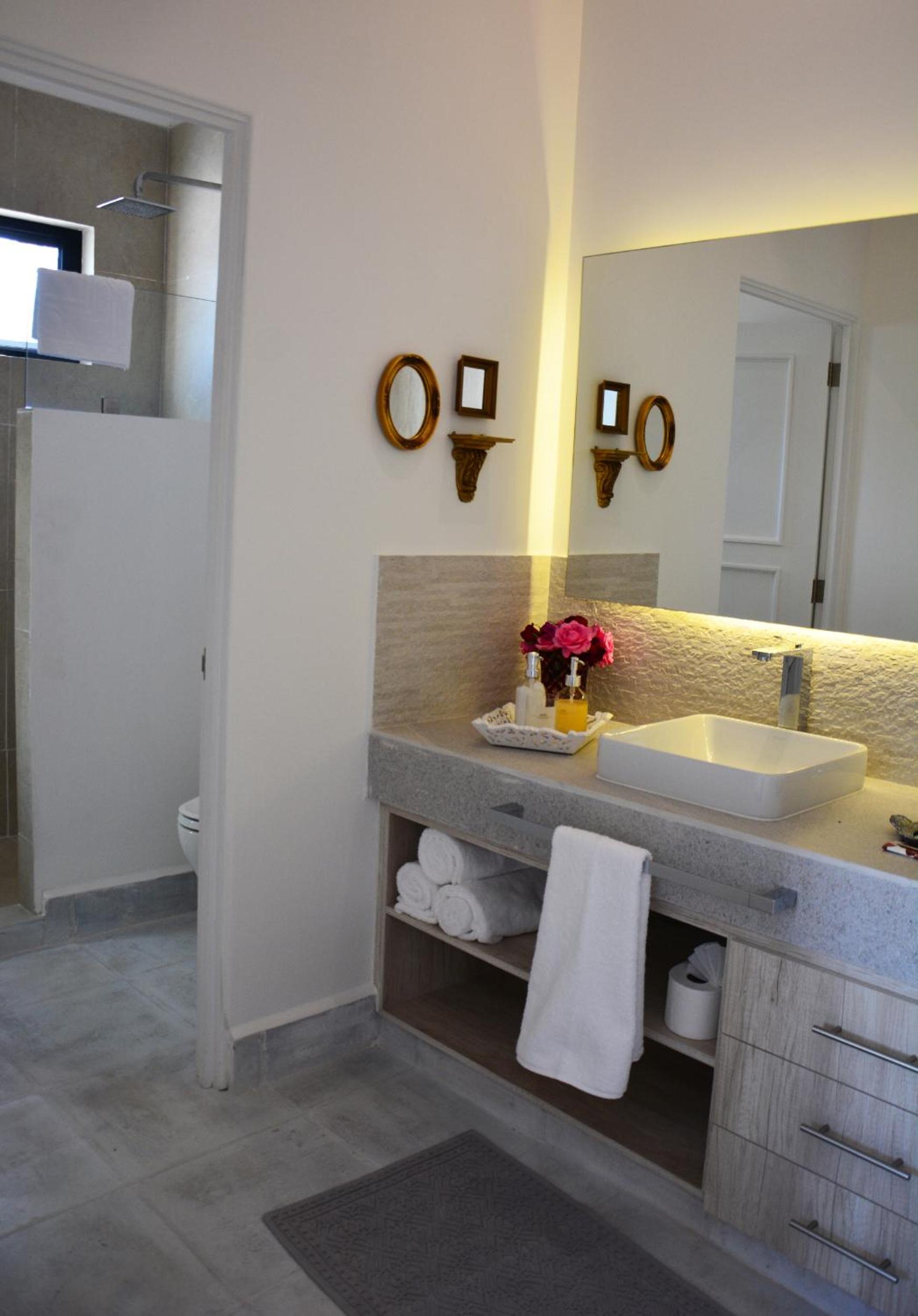 Deluxe King Suite - Photo 9