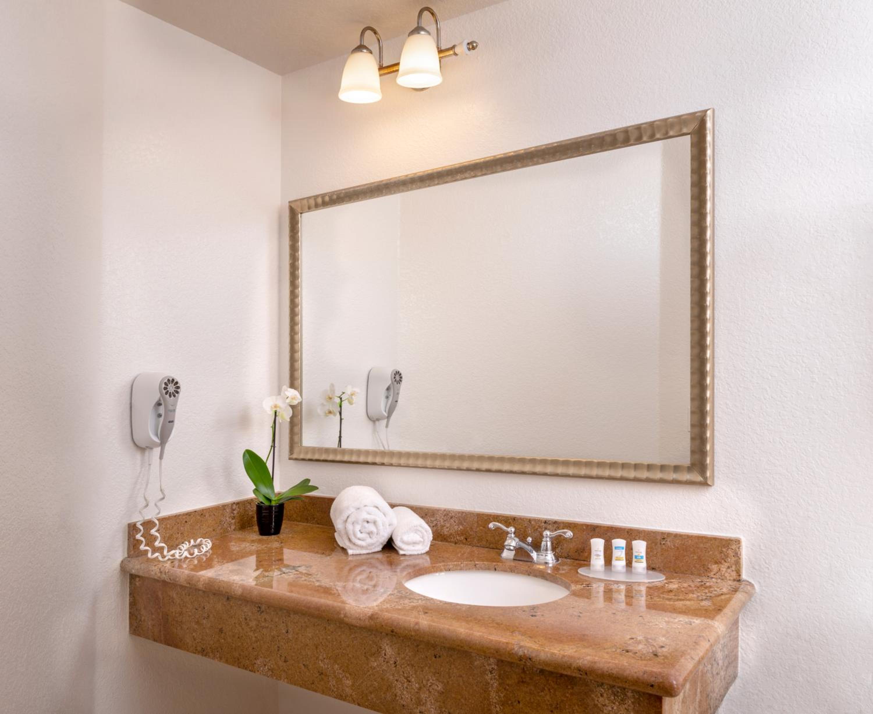 Deluxe King Suite - Photo 3