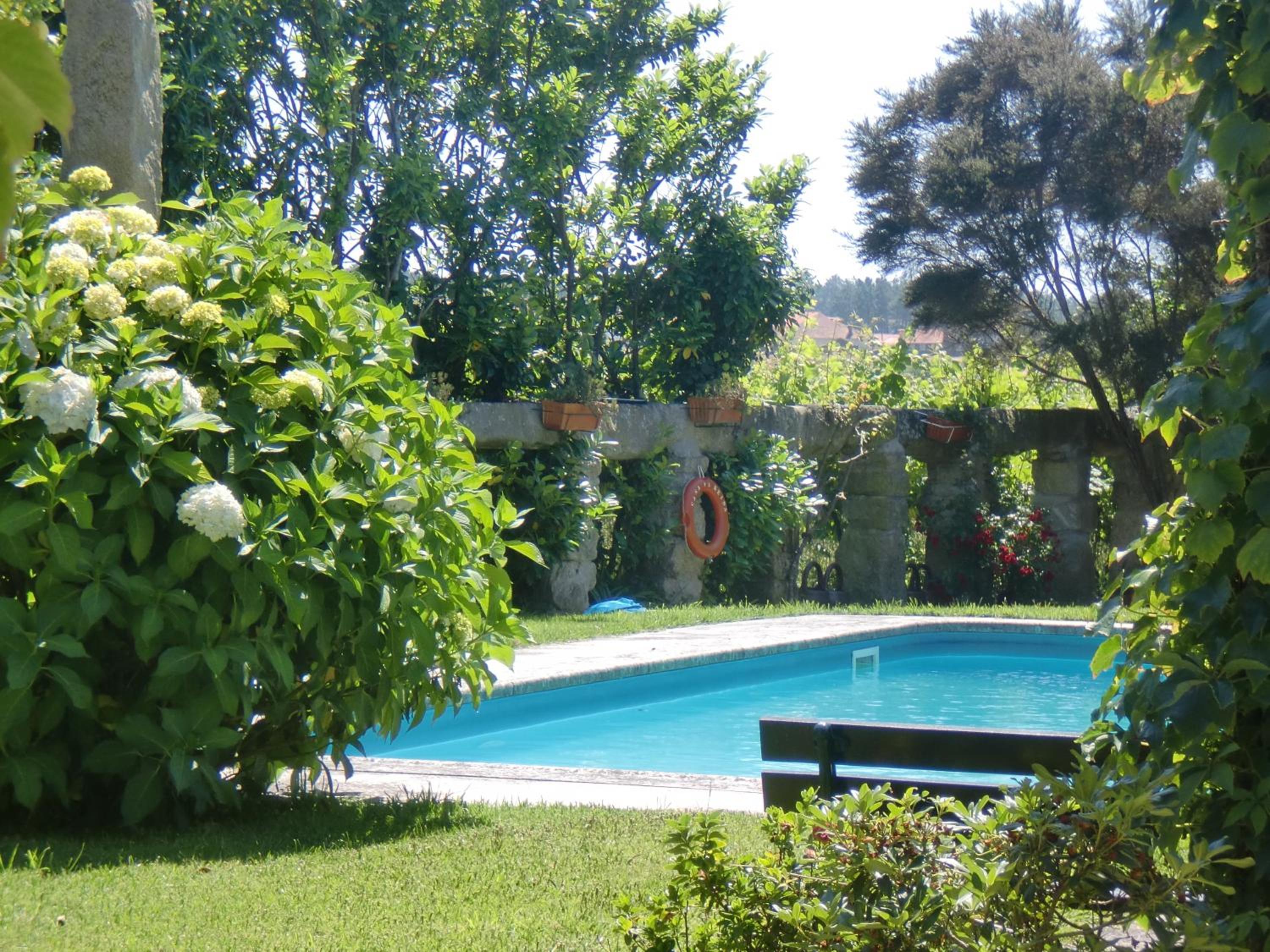 Suite - Photo 23