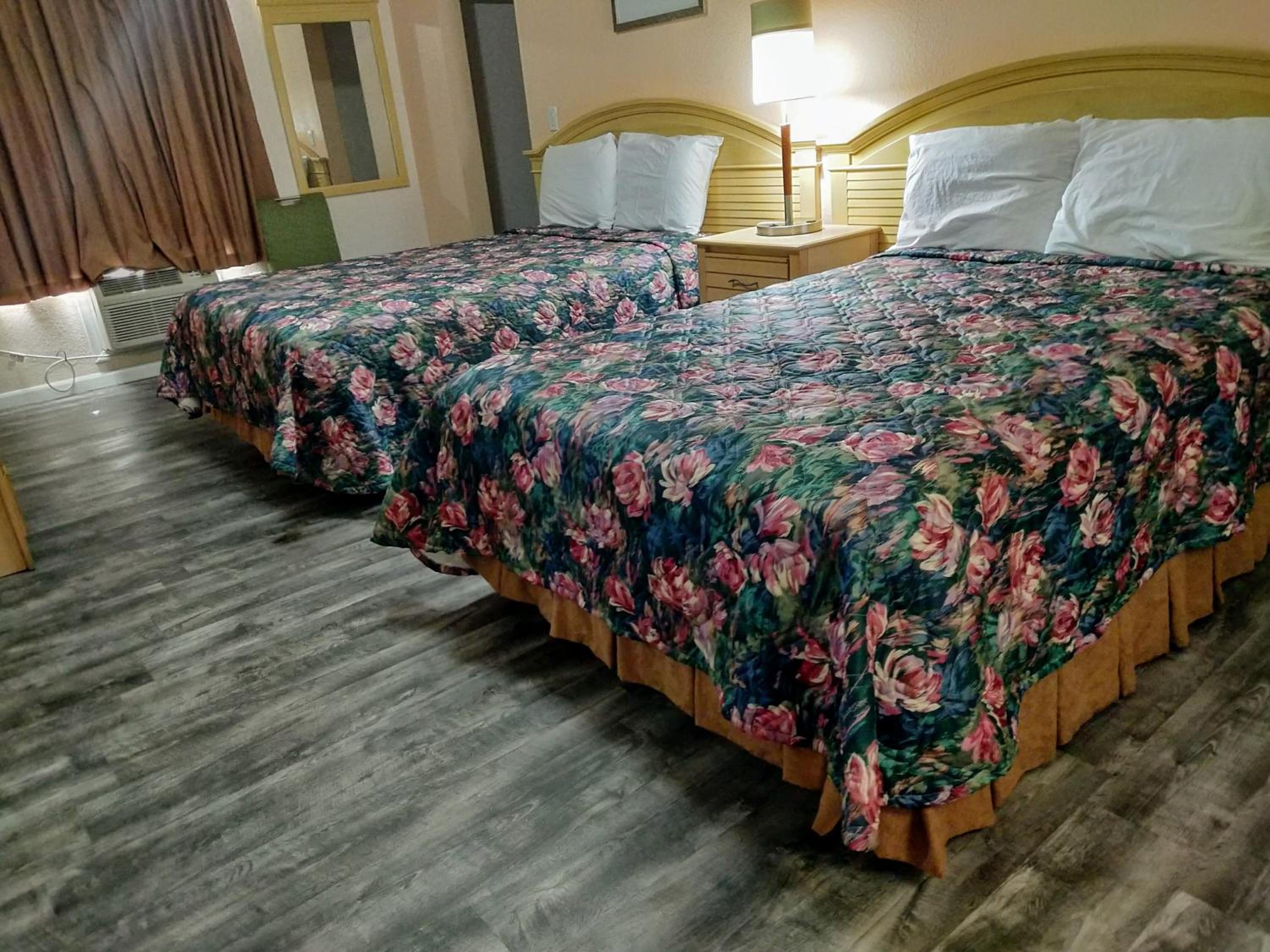 Family Suite photo 1