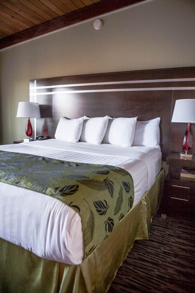 Standard Queen Room photo 1