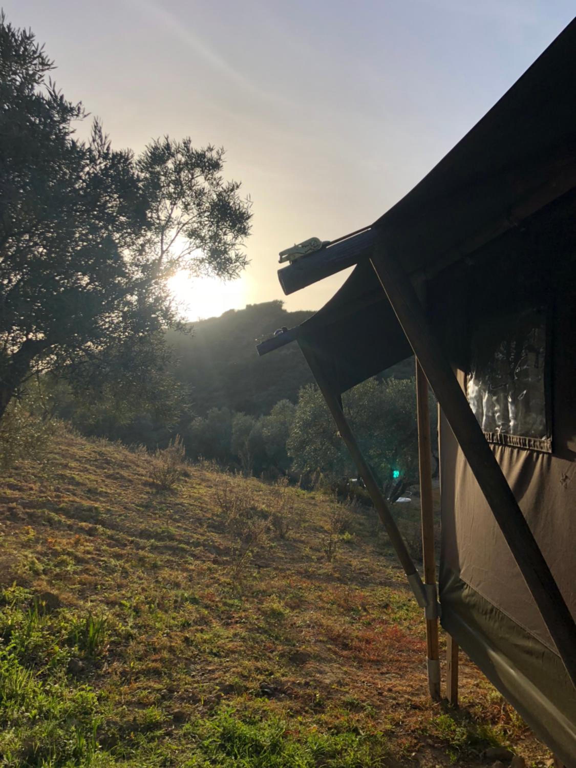 Luxury Safari Tent - Photo 11