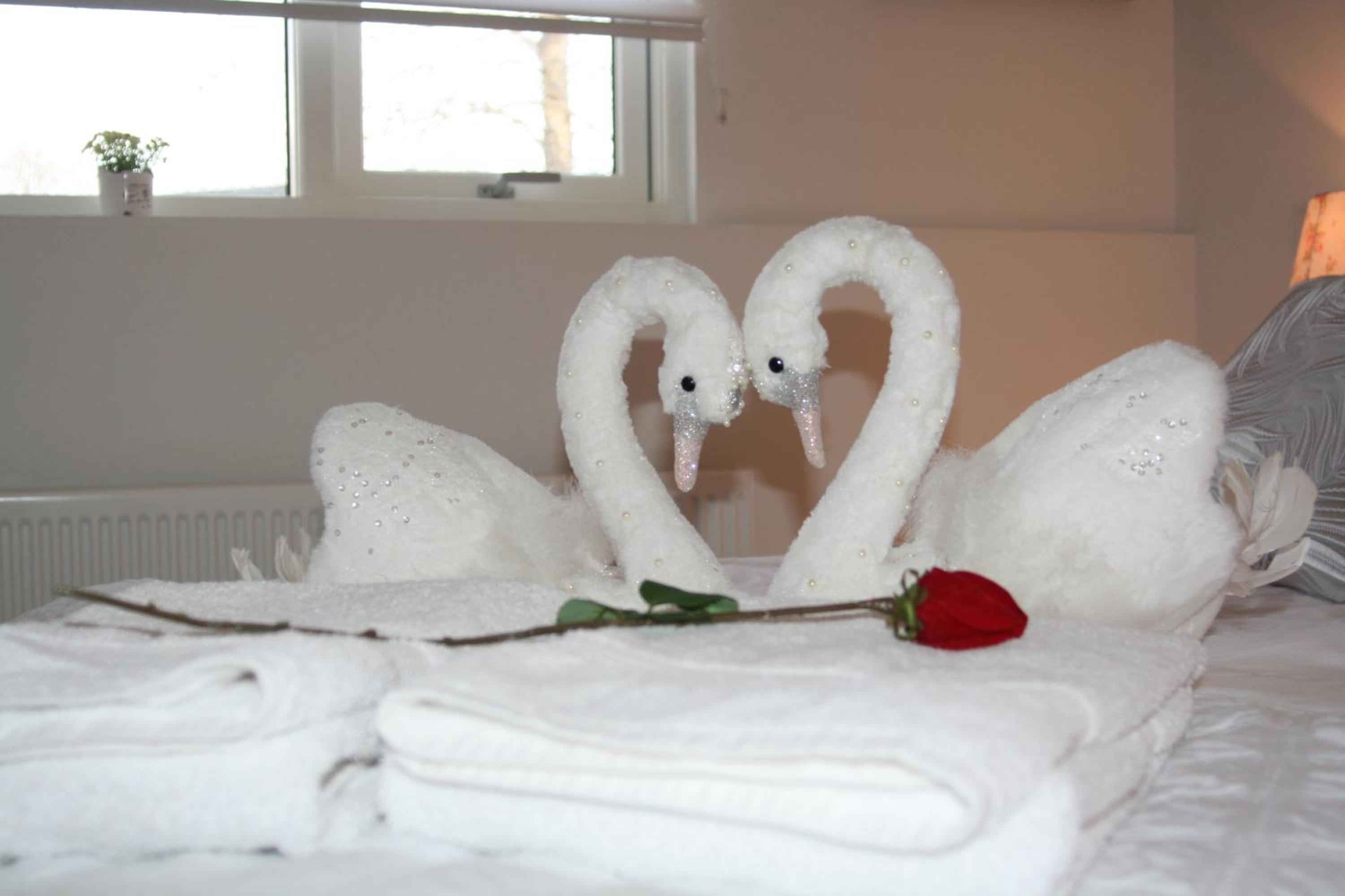 Single Room with Shared Bathroom photo 1