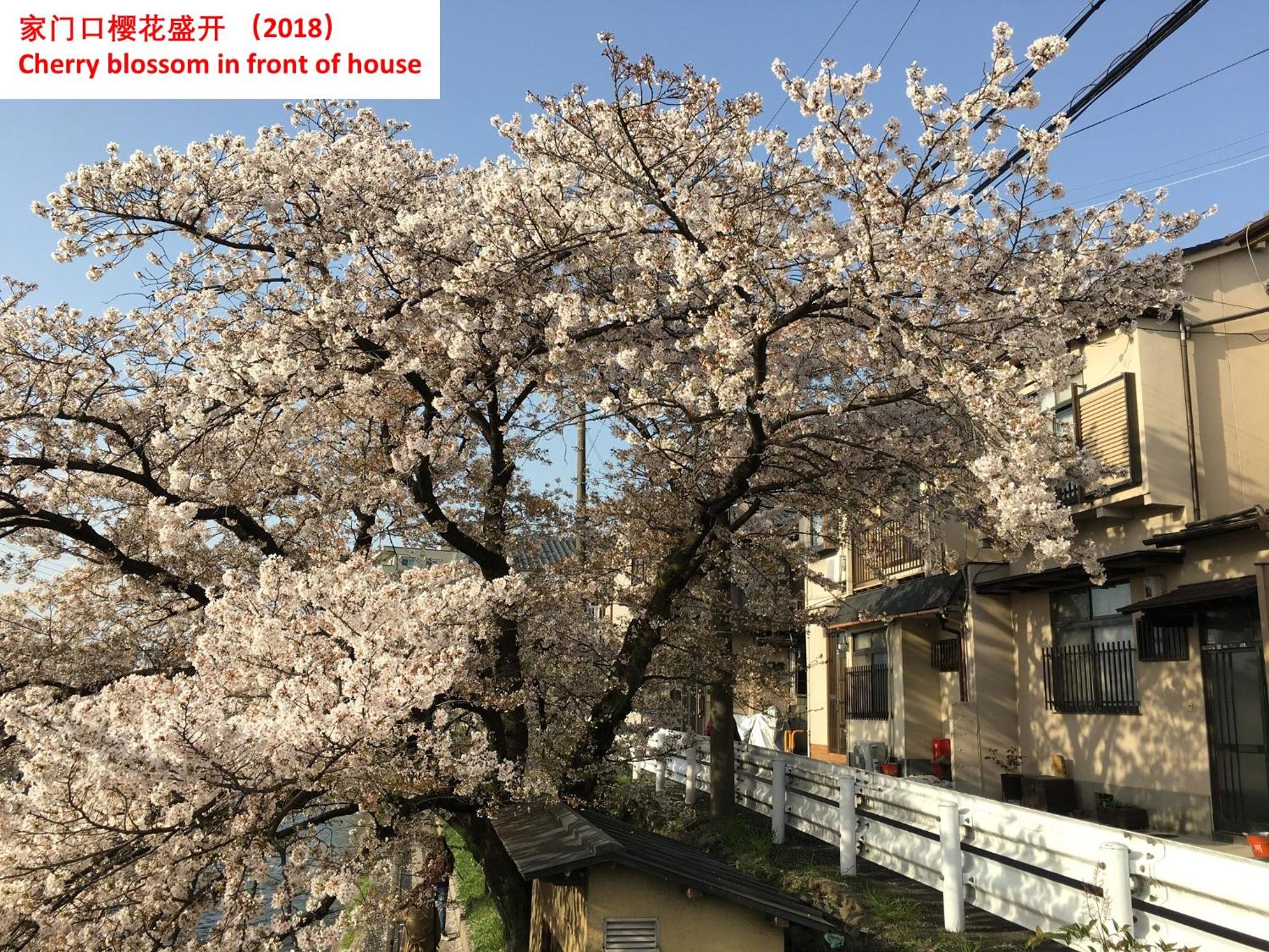 Vacation Home - Photo 55