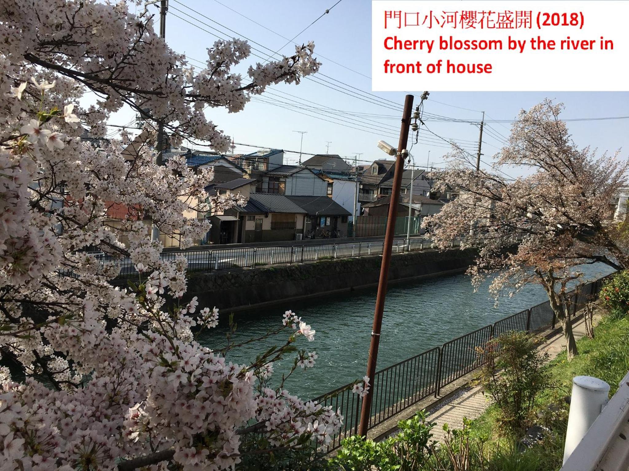 Vacation Home - Photo 7