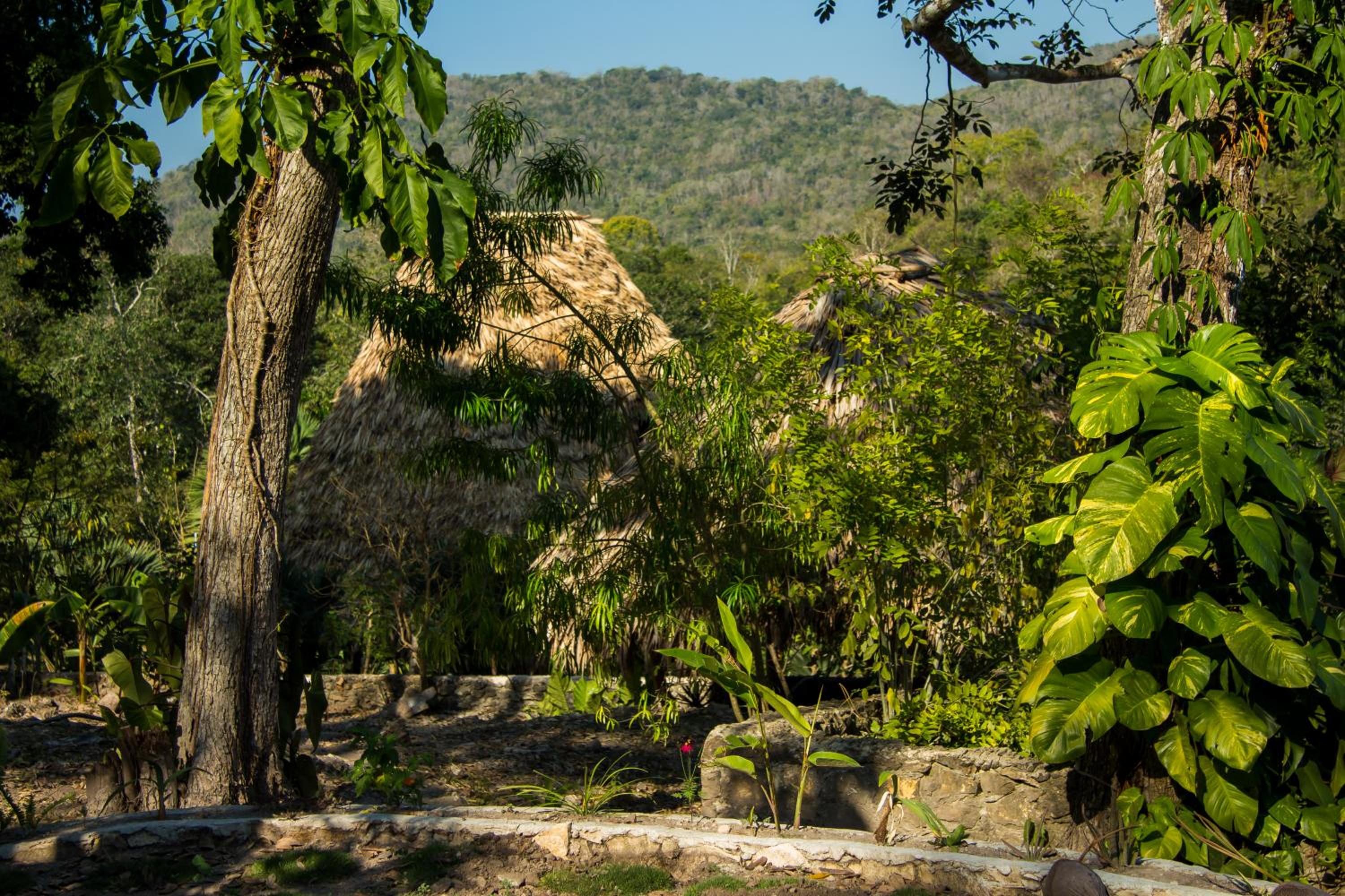 Quadruple Room with Garden View photo 1
