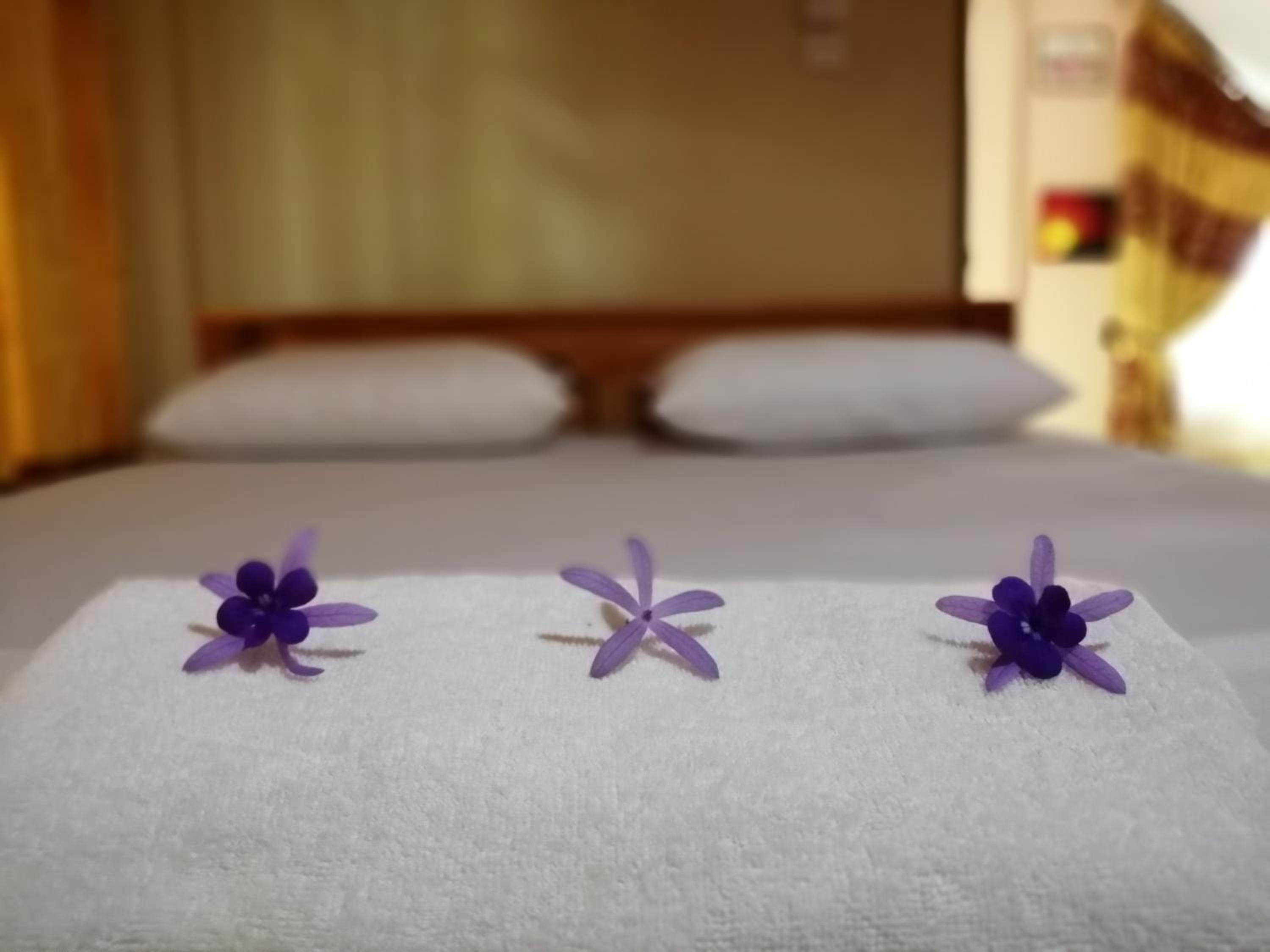 Standard Double Room with Fan photo 1