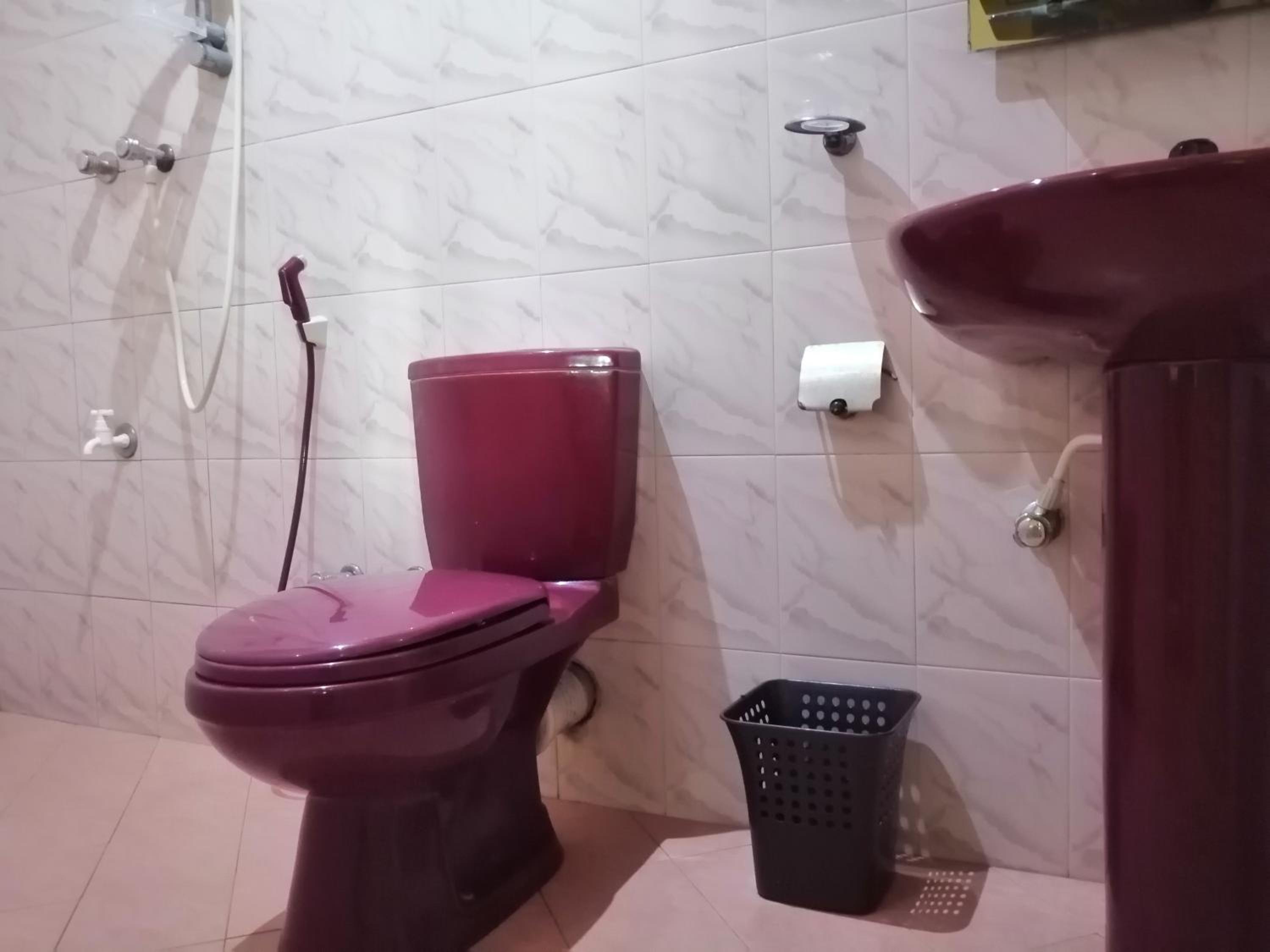 Standard Double Room with Fan photo 2
