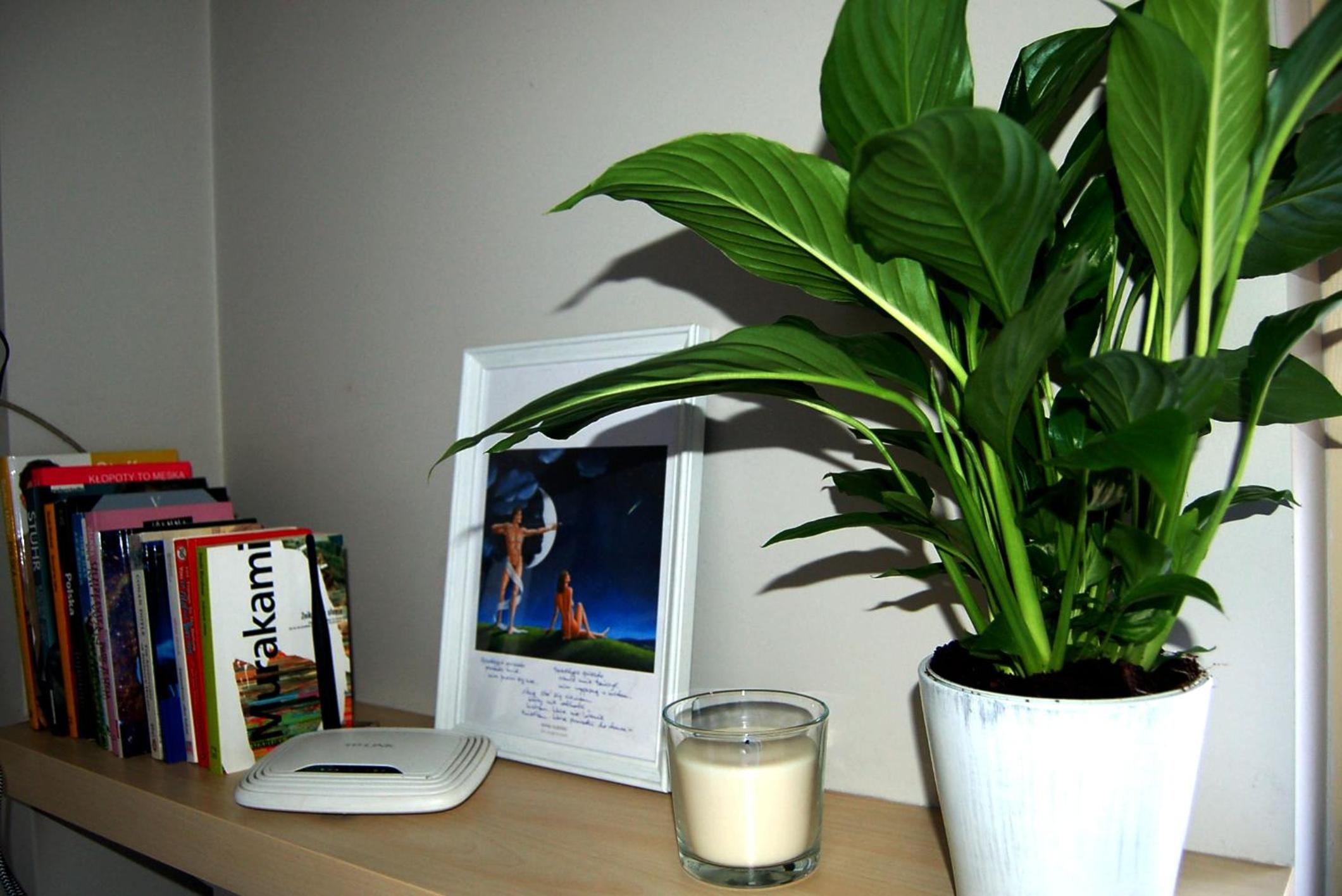One-Bedroom Apartment - Photo 7