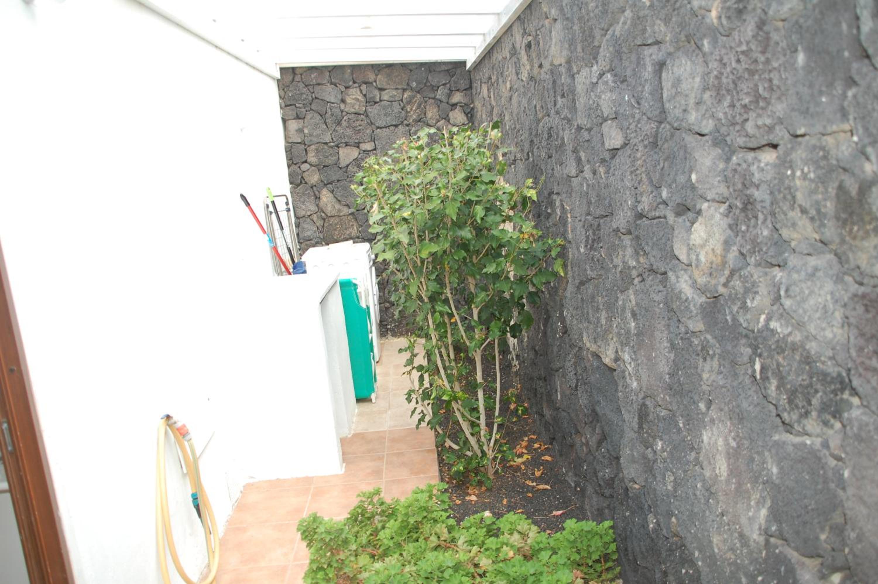 Apartment with Terrace photo 2
