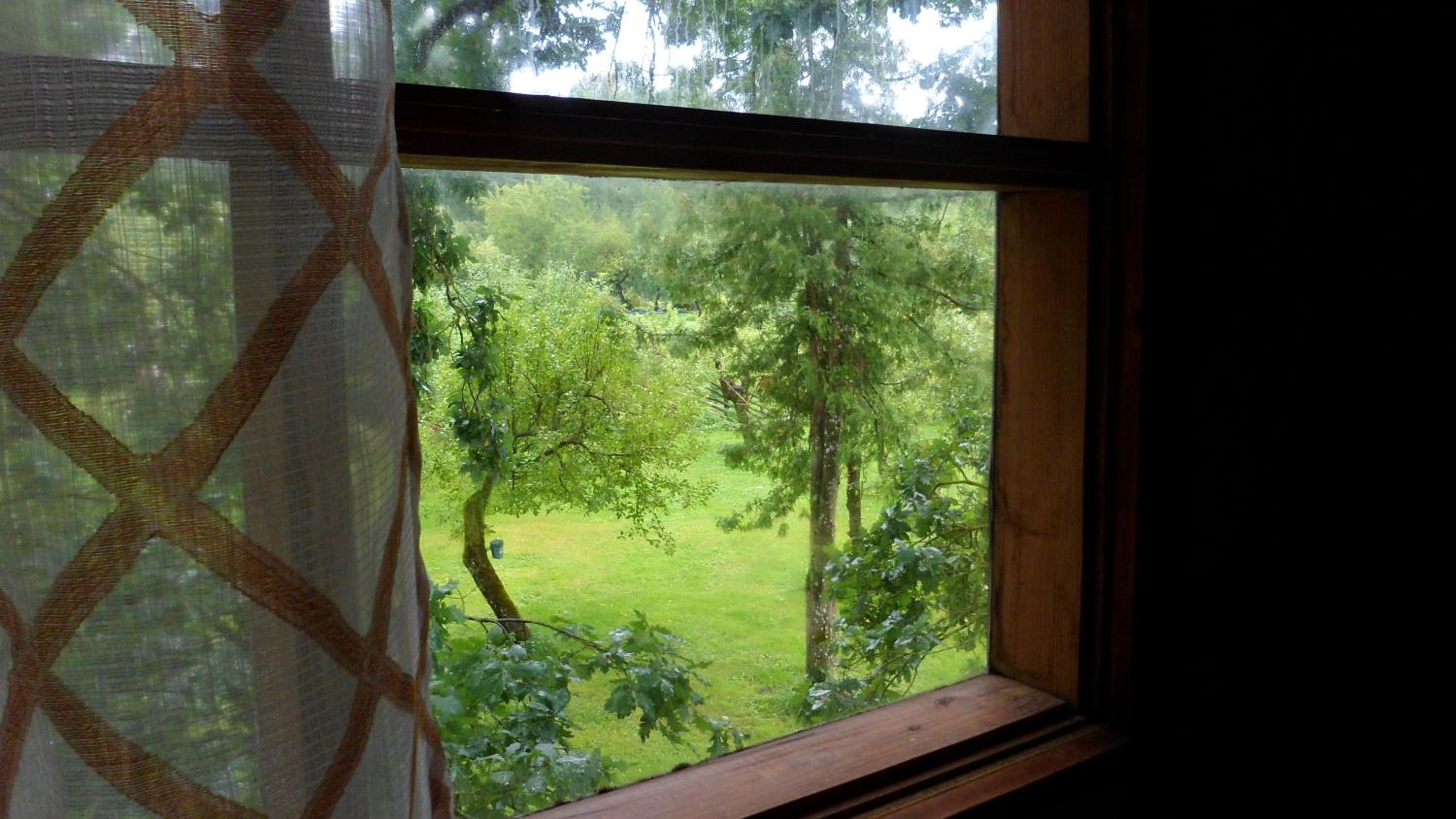 Family Room - Photo 4