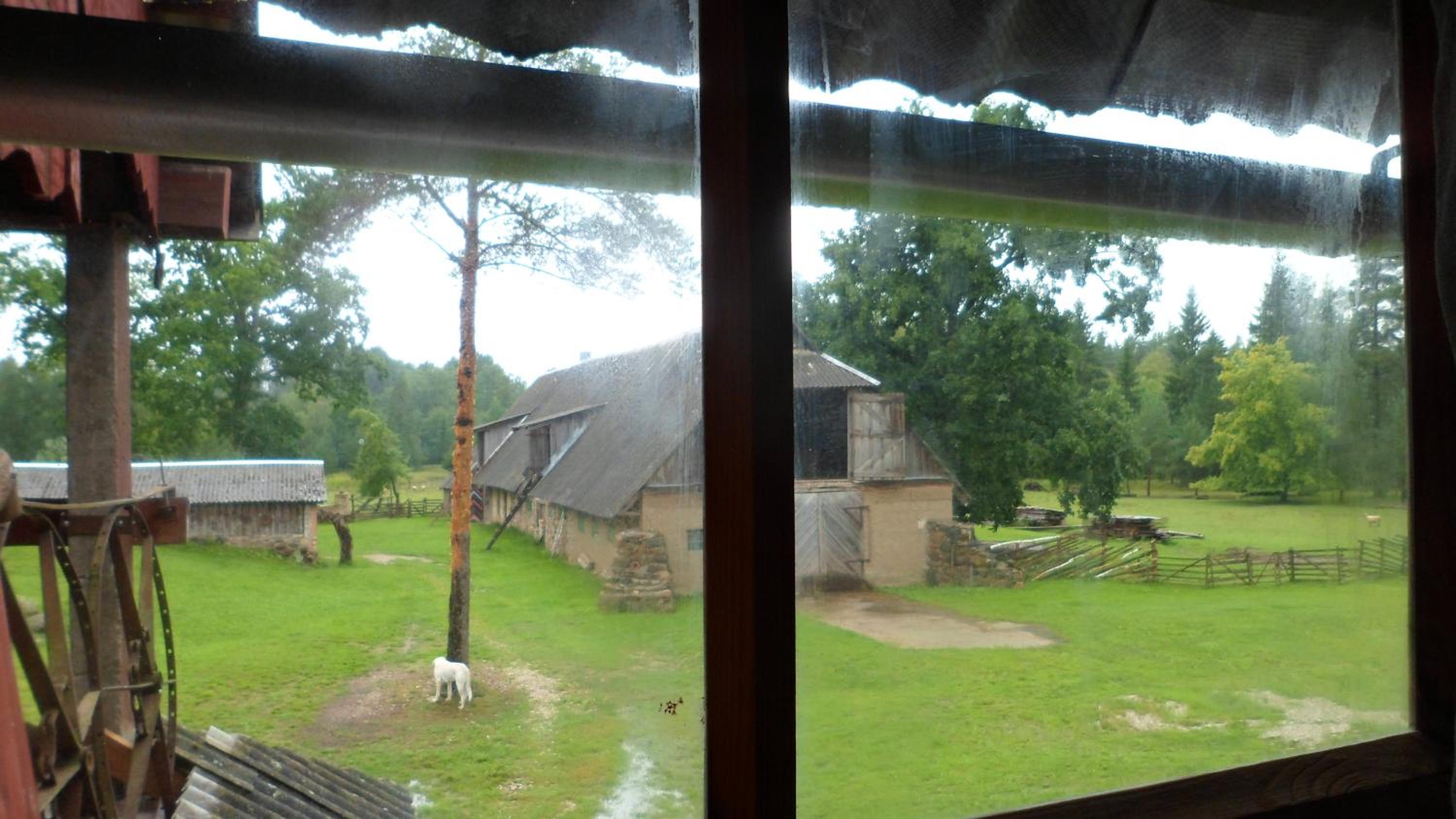 Double Room - Photo 4