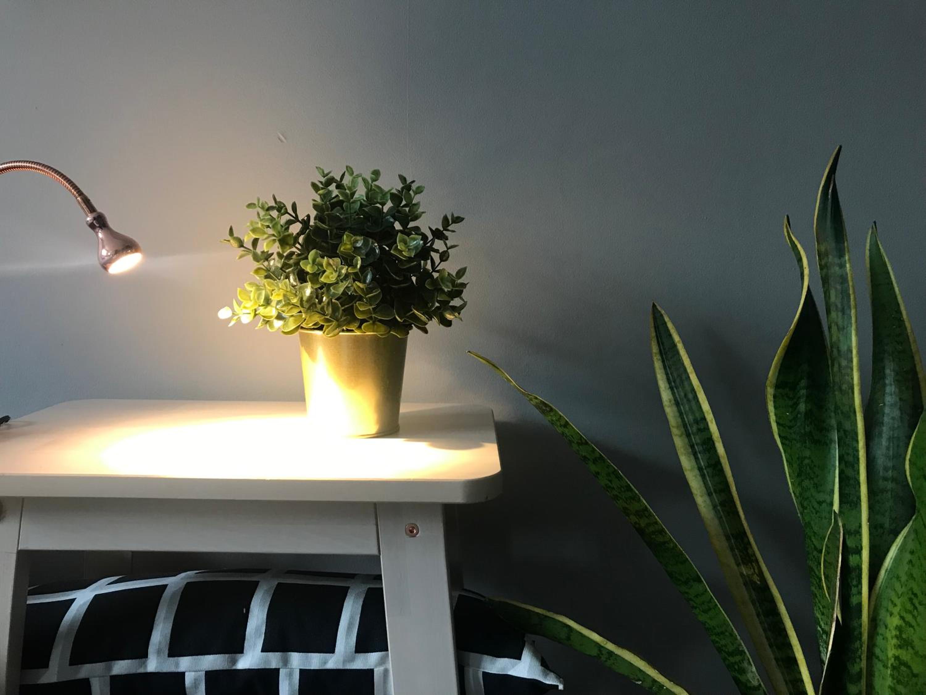 Studio Apartment - Photo 9