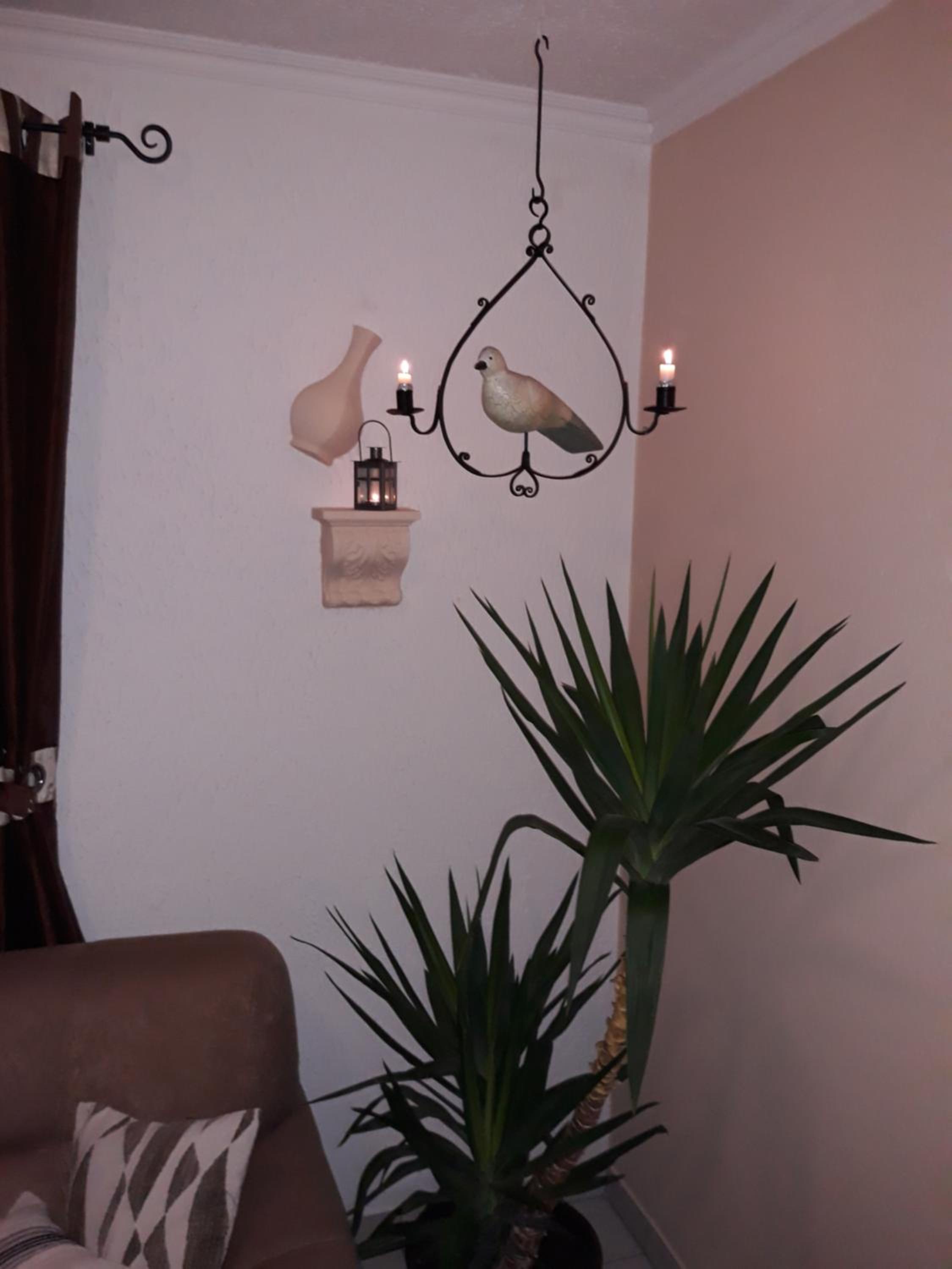 Apartment with Terrace photo 2