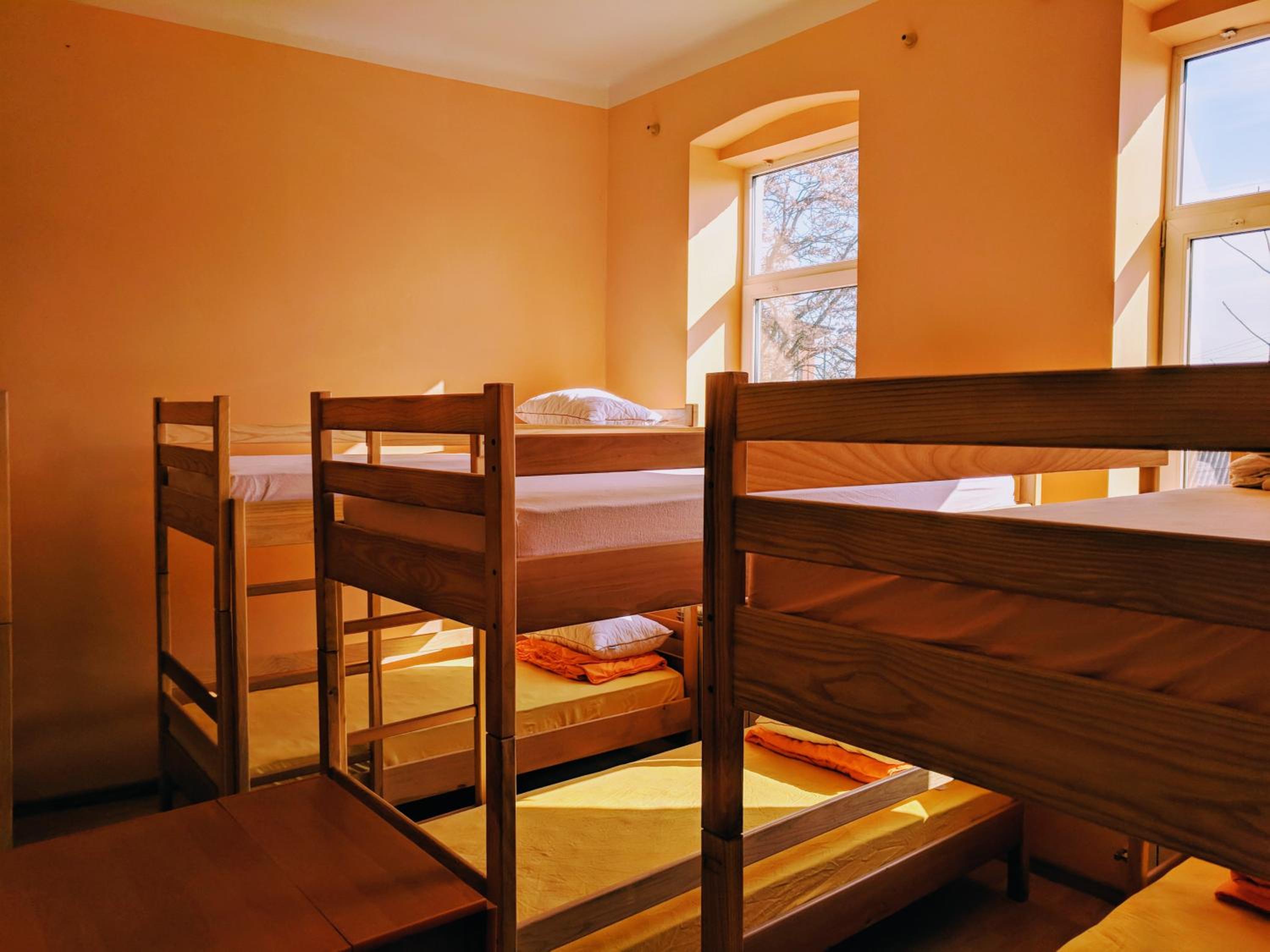 Bunk Bed in Mixed Dormitory Room photo 1