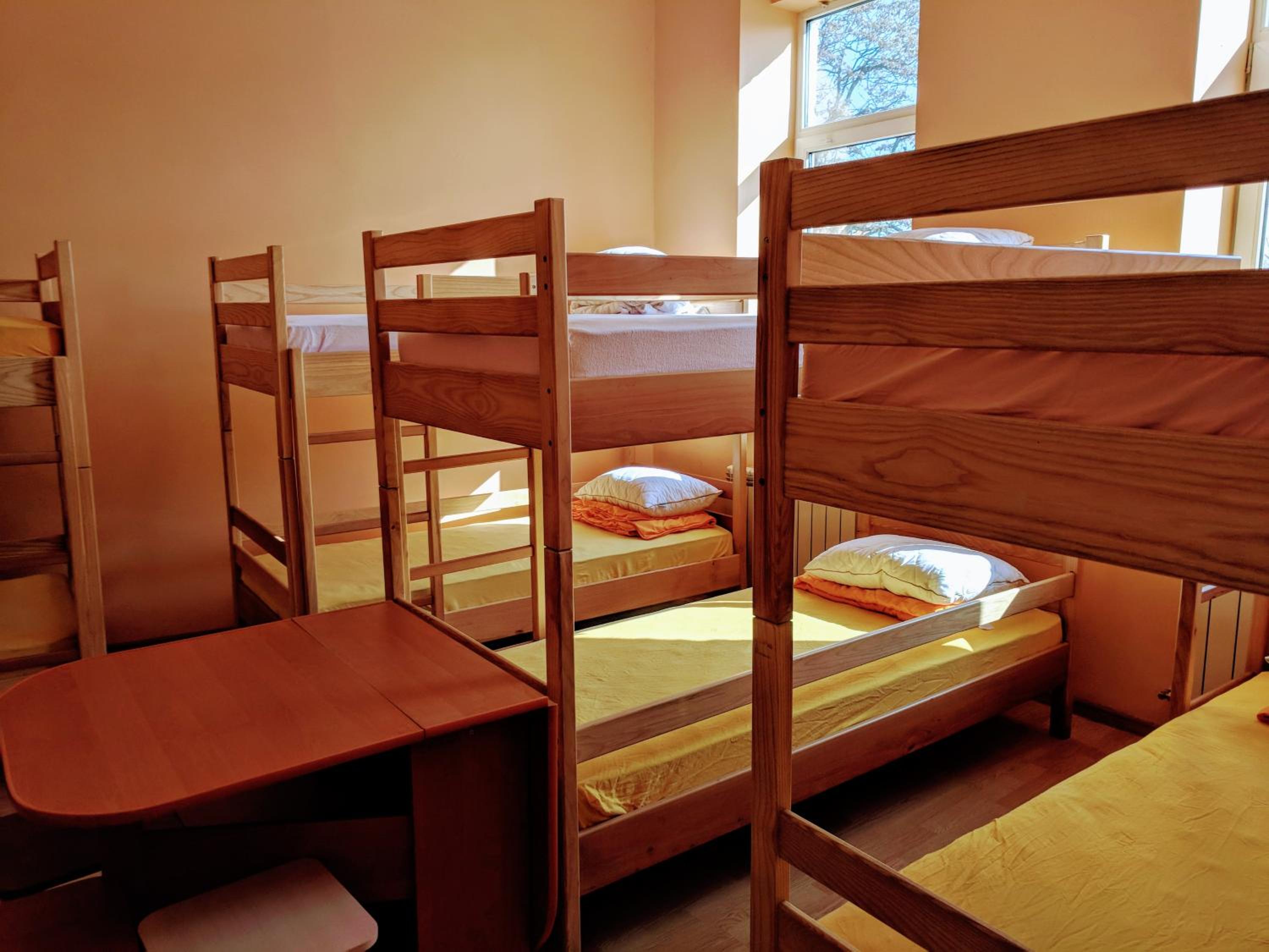 Bunk Bed in Mixed Dormitory Room photo 2