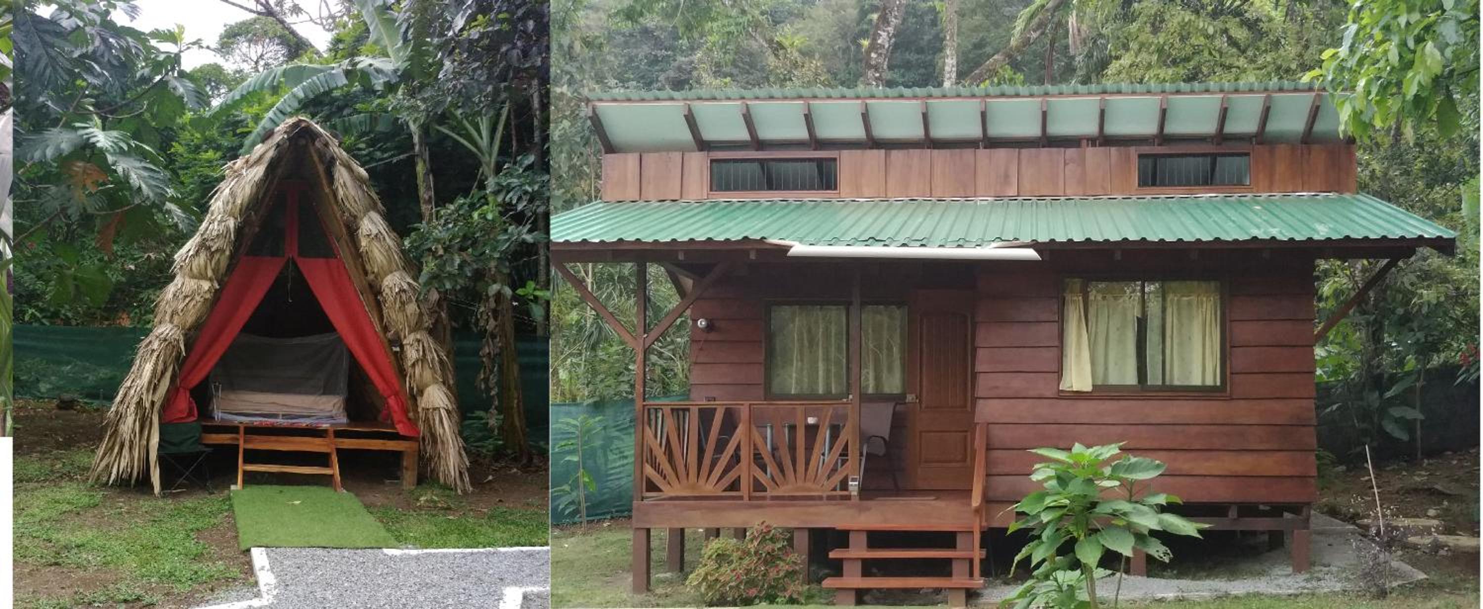 Bungalow with Patio photo 3
