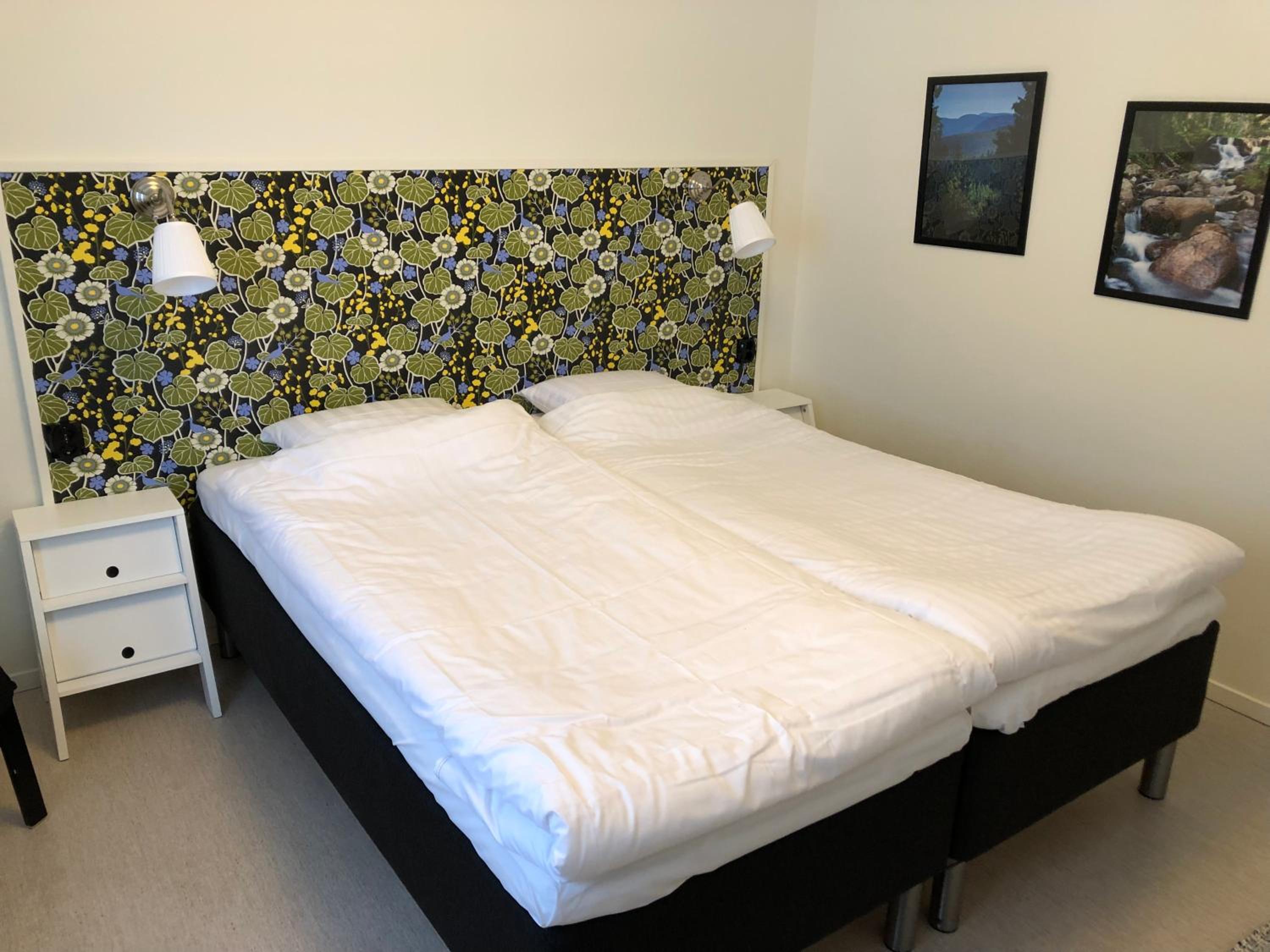 Double or Twin Room photo 1