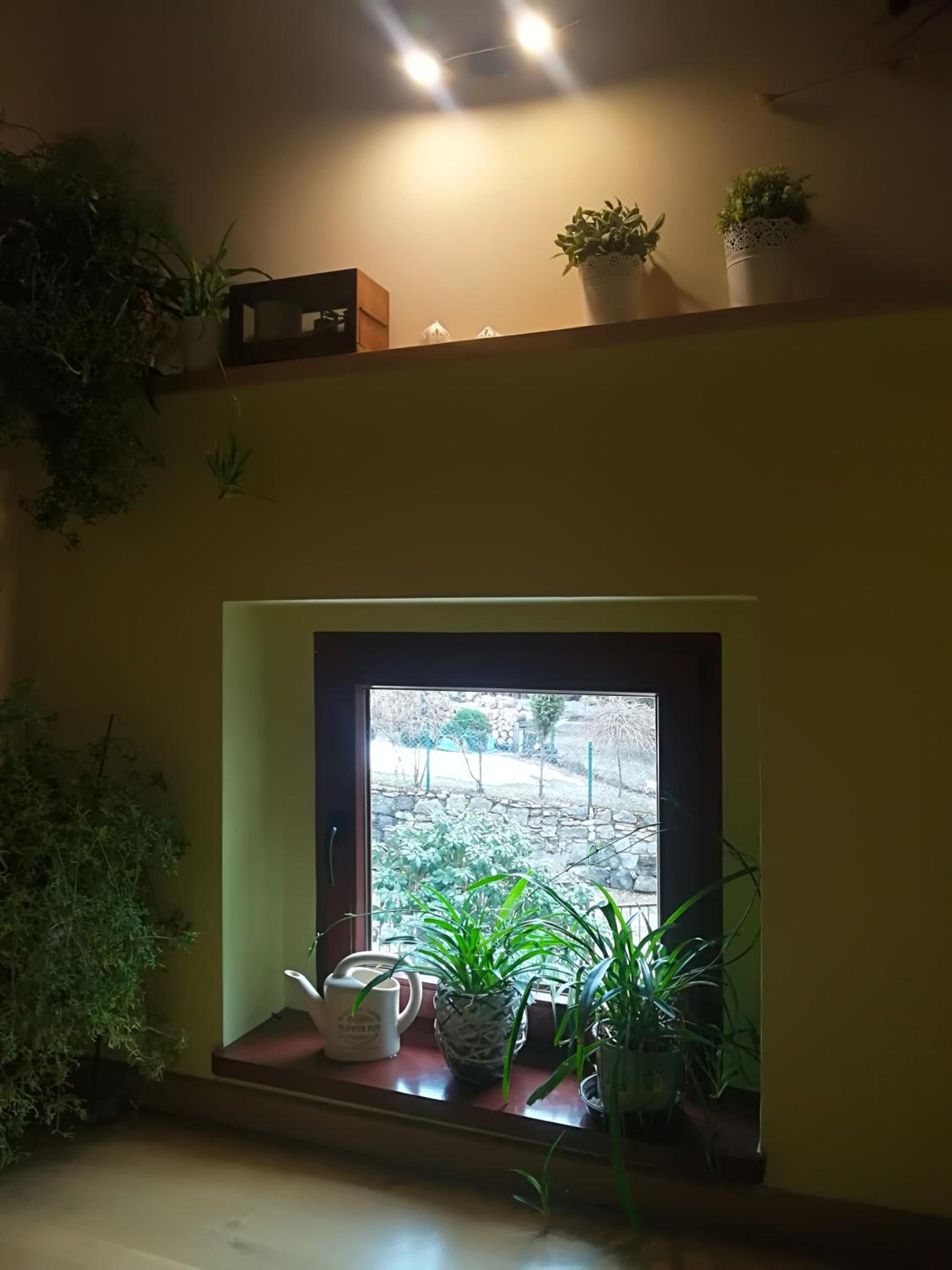 Apartment with Mountain View photo 3