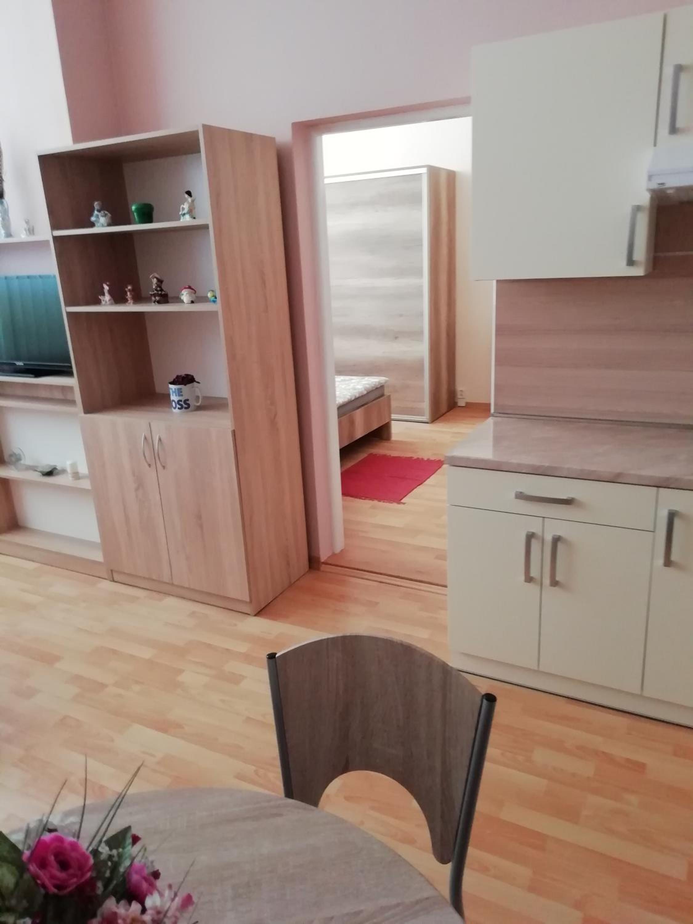 Standard Apartment - Photo 8