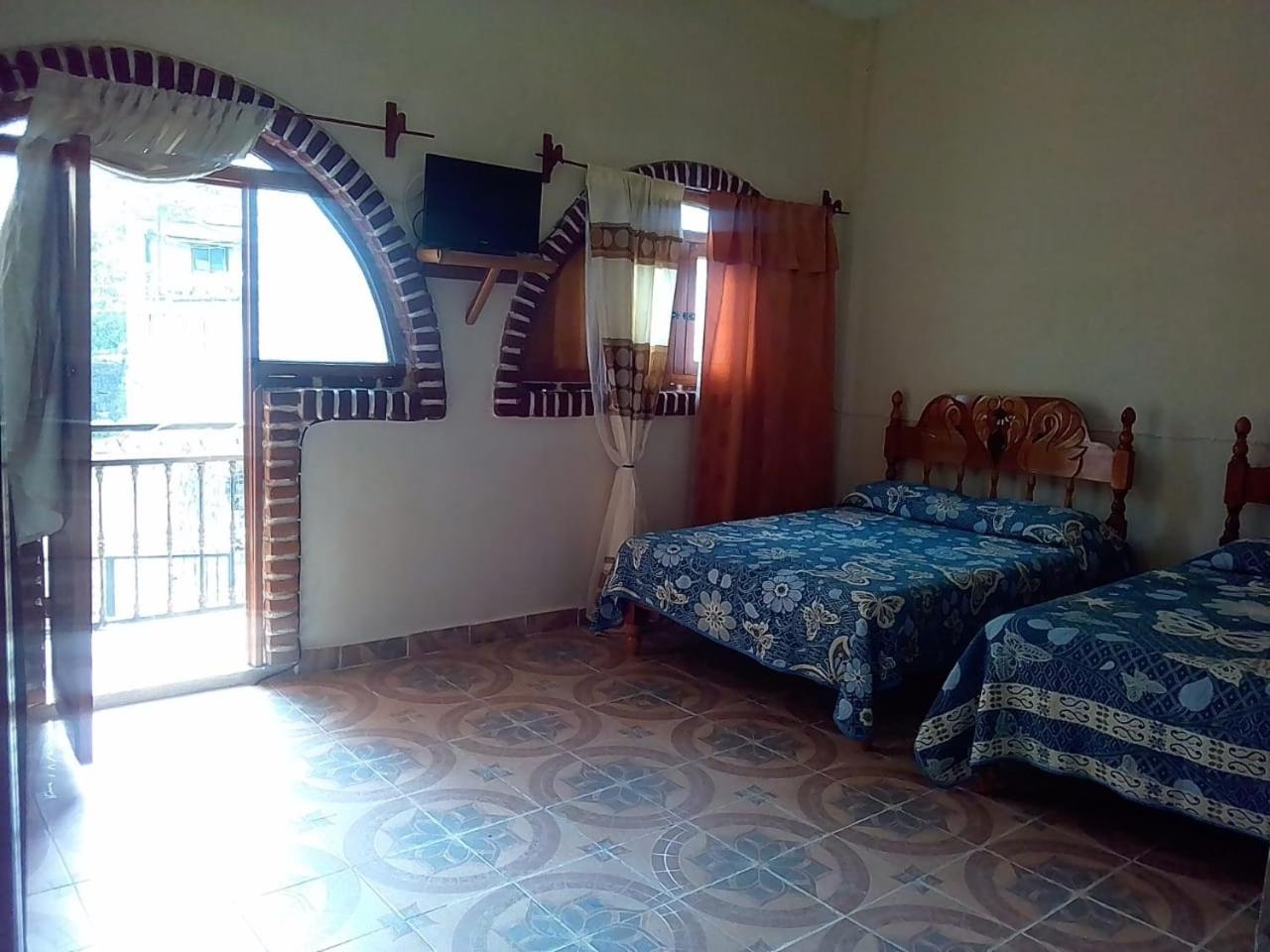 Large Twin Room photo 3