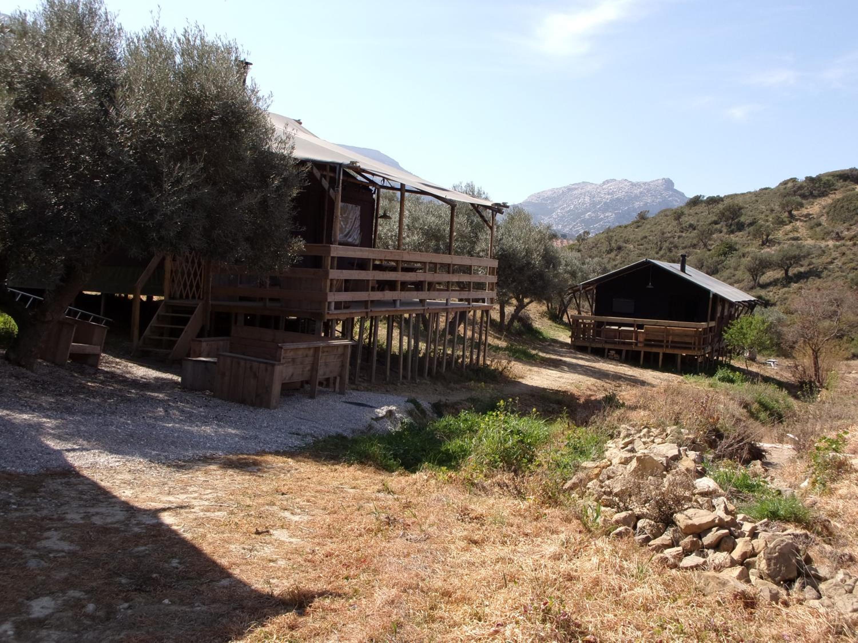 Luxury Safari Lodge - Photo 14
