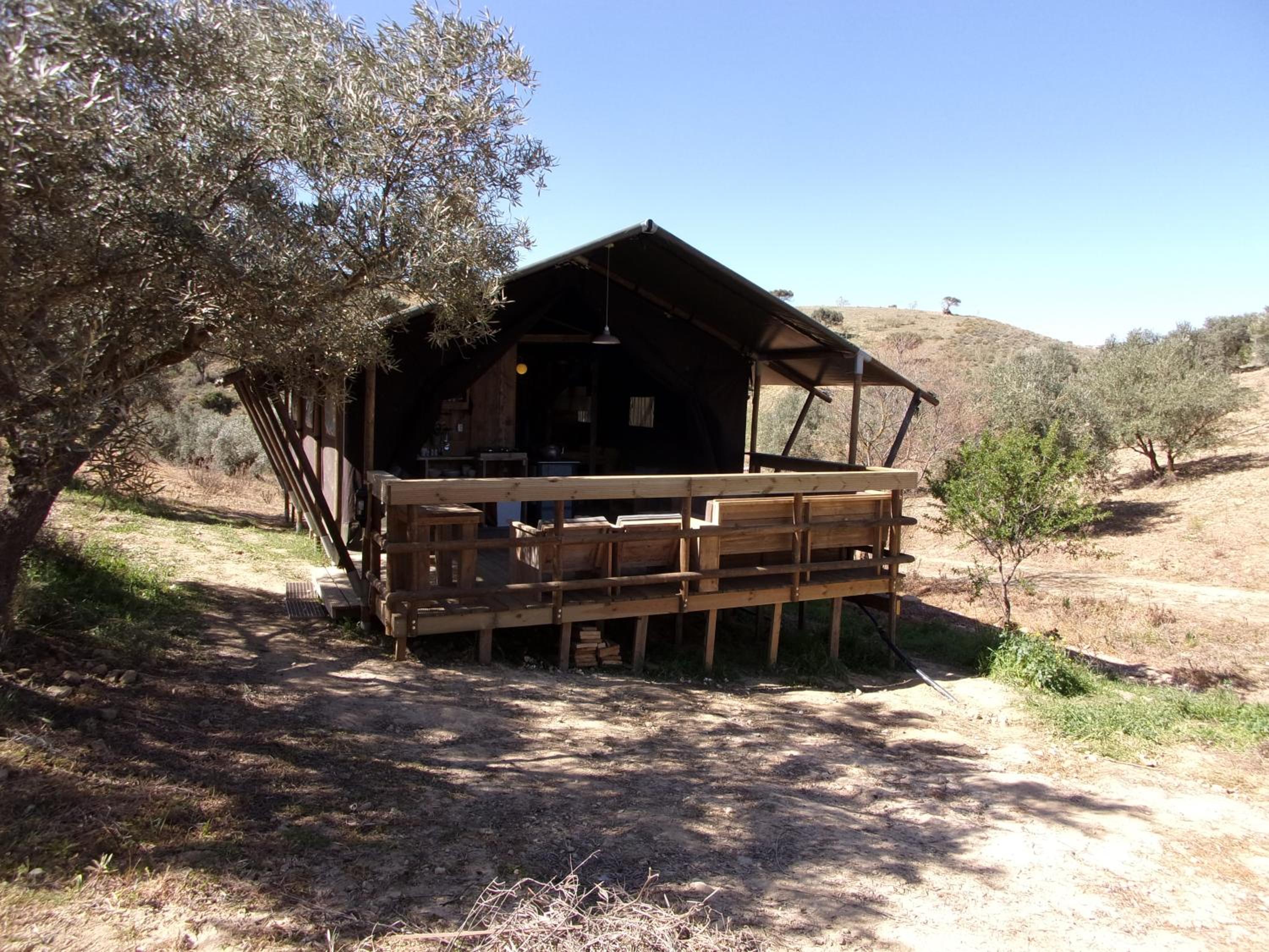 Luxury Safari Tent - Photo 9
